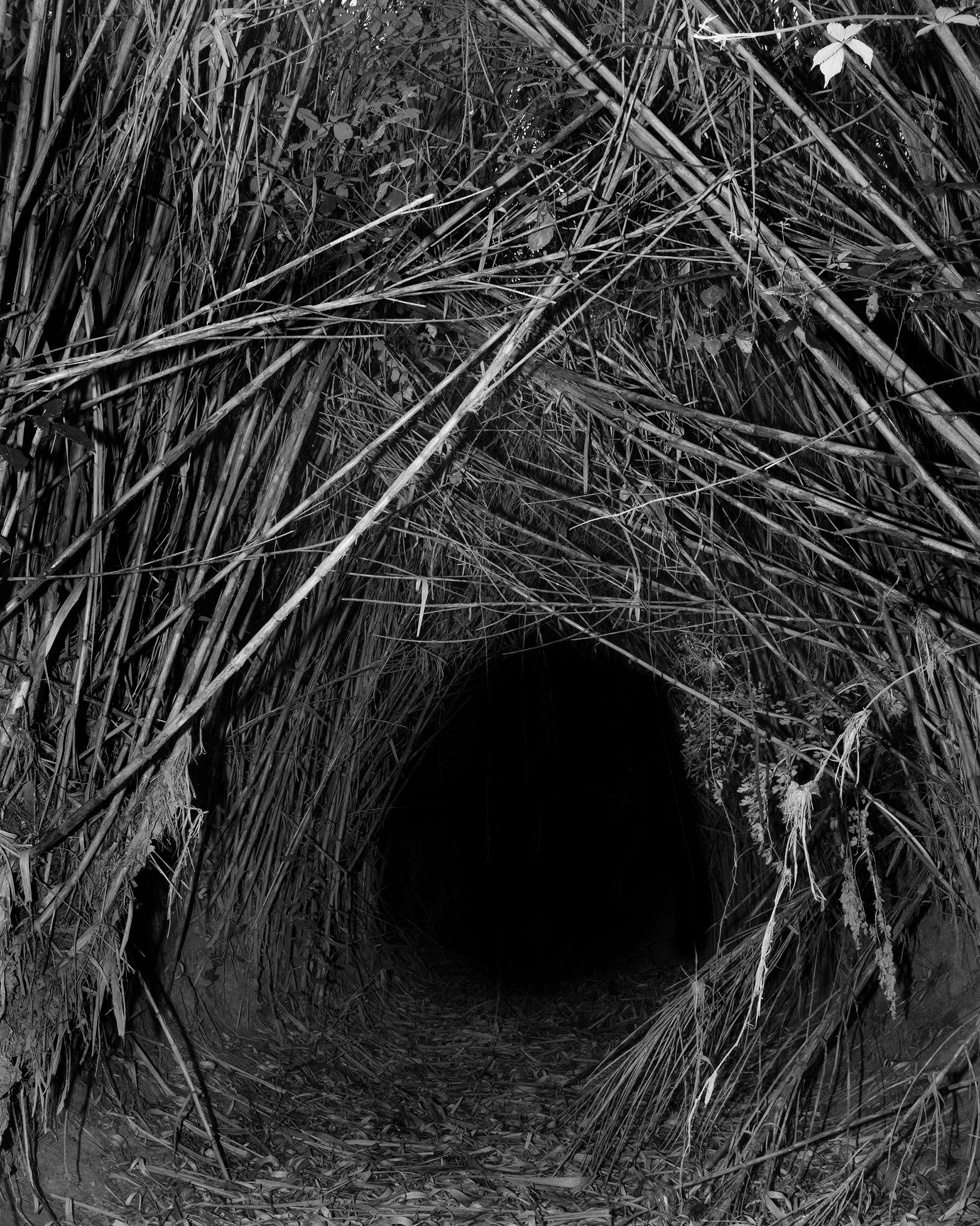 Katya Bogachevskaya — independent curator, lecturer