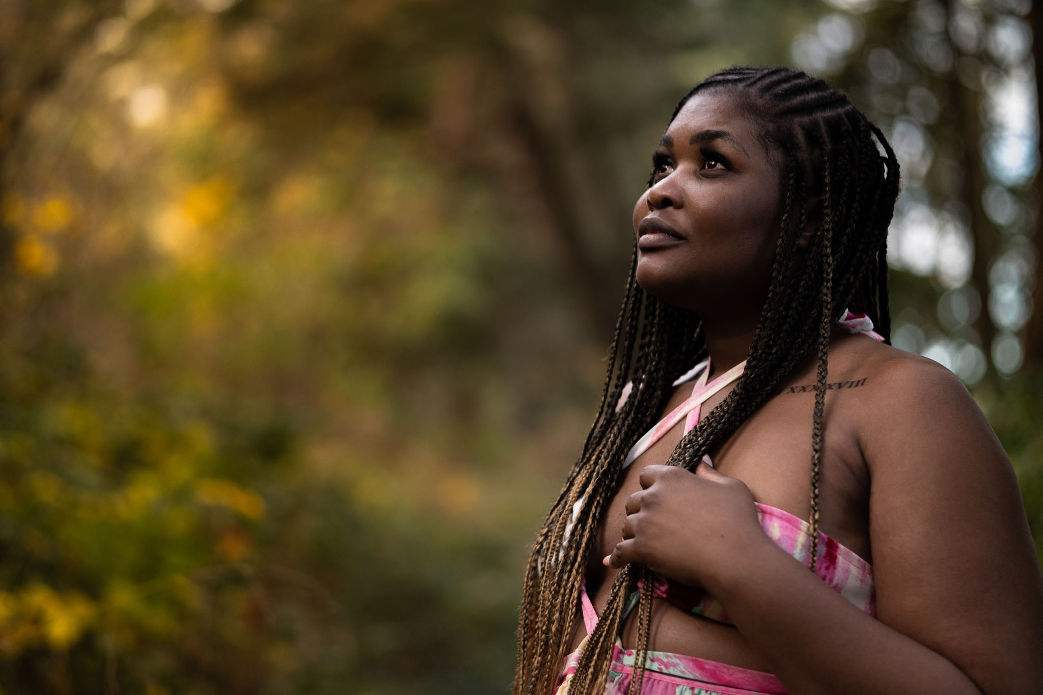 Artparadox_Snapforge