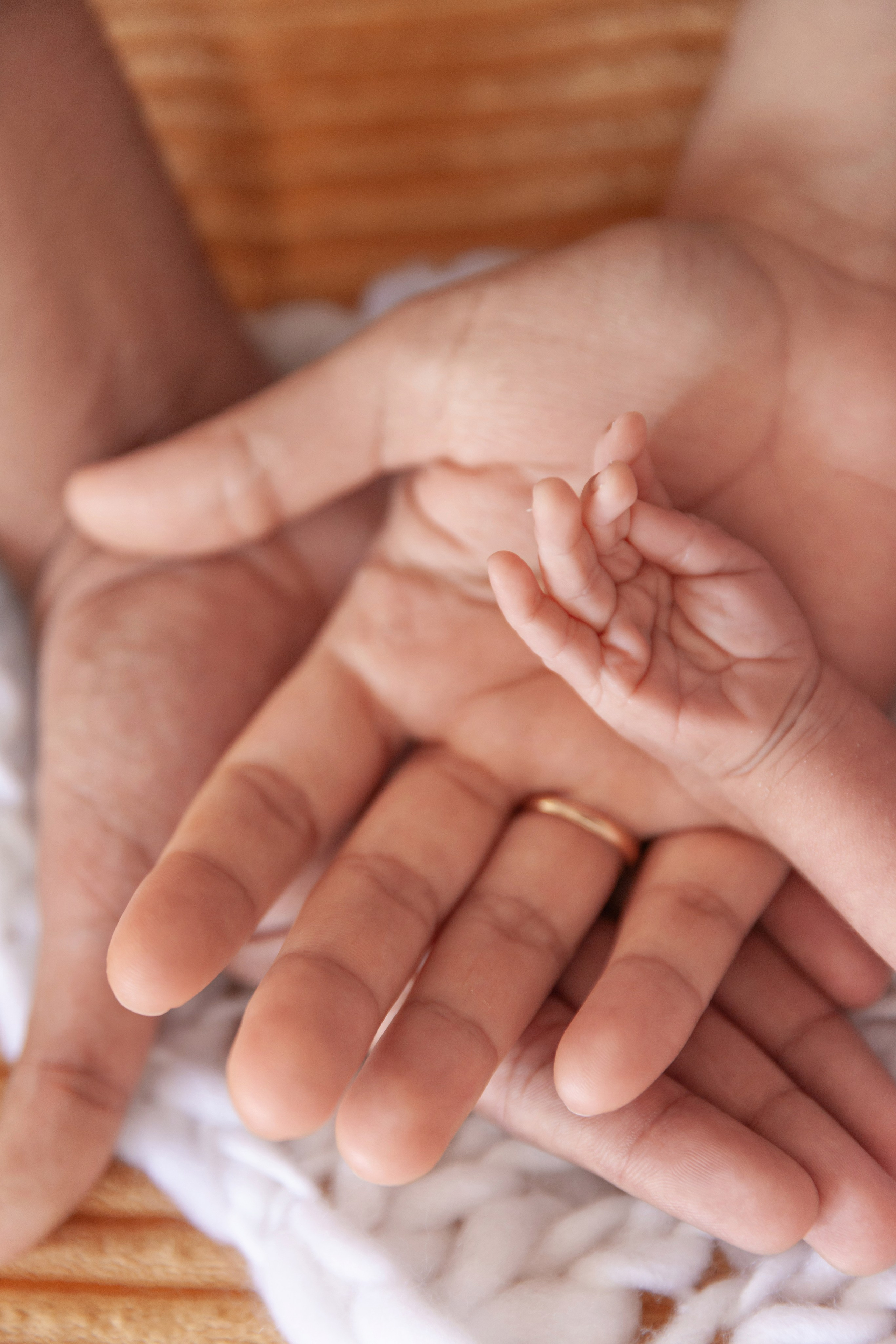 Services. Marina Pravda Photography San Francisco Bay Area