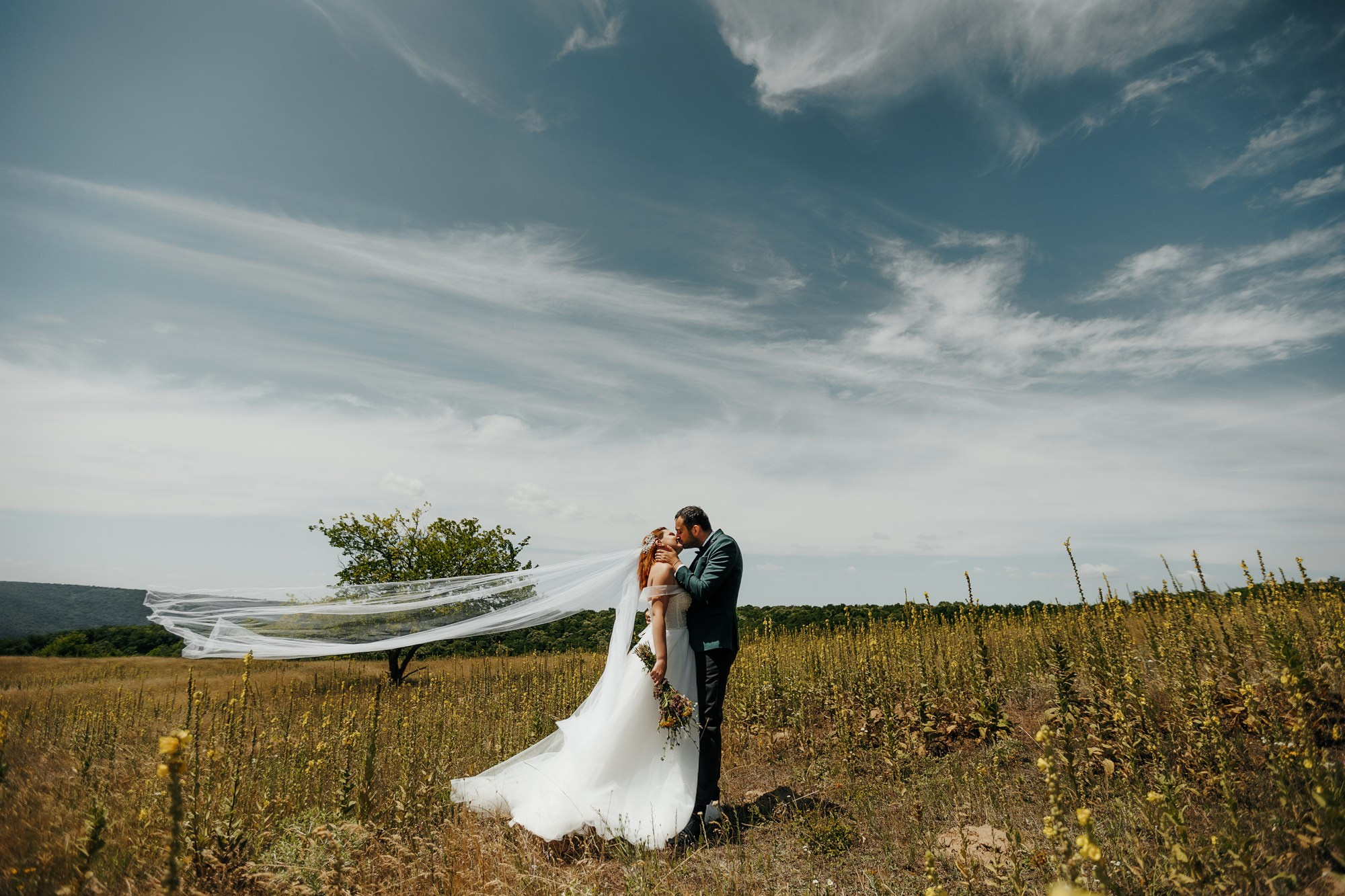 Andrei si Adelina. Wedding photographer and videographer