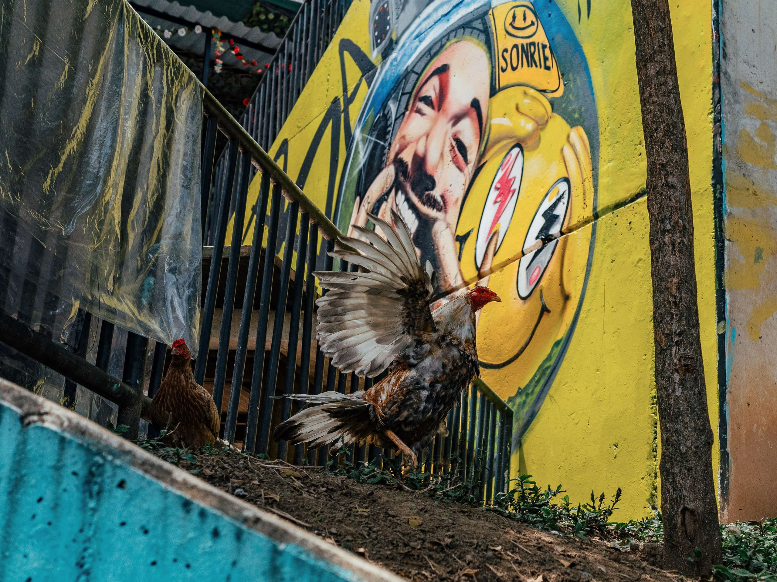 Comuna 13, Medellín, Colombia. Federico Borobio, street and documentary photography.