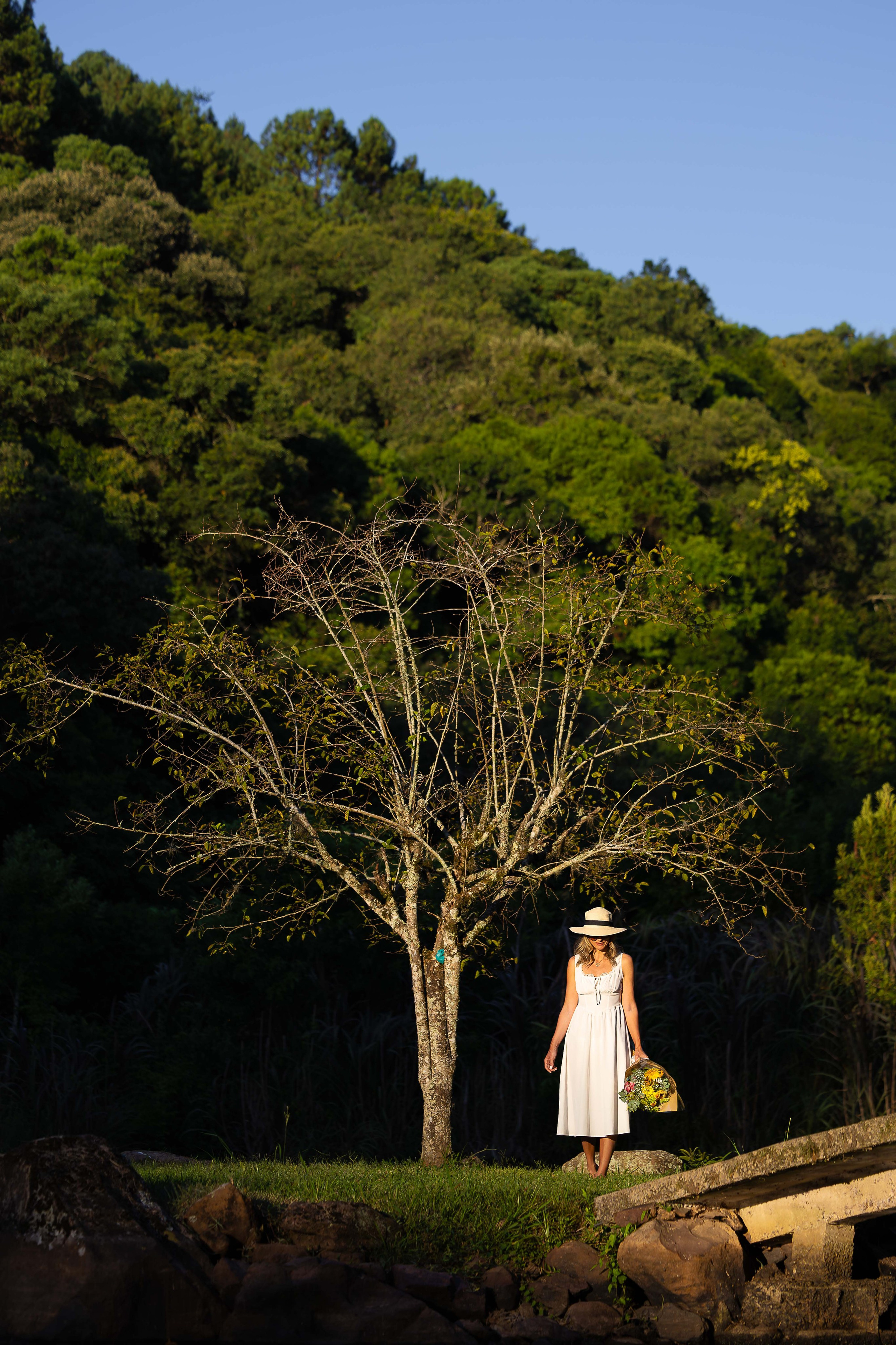 Essência e simplicidade