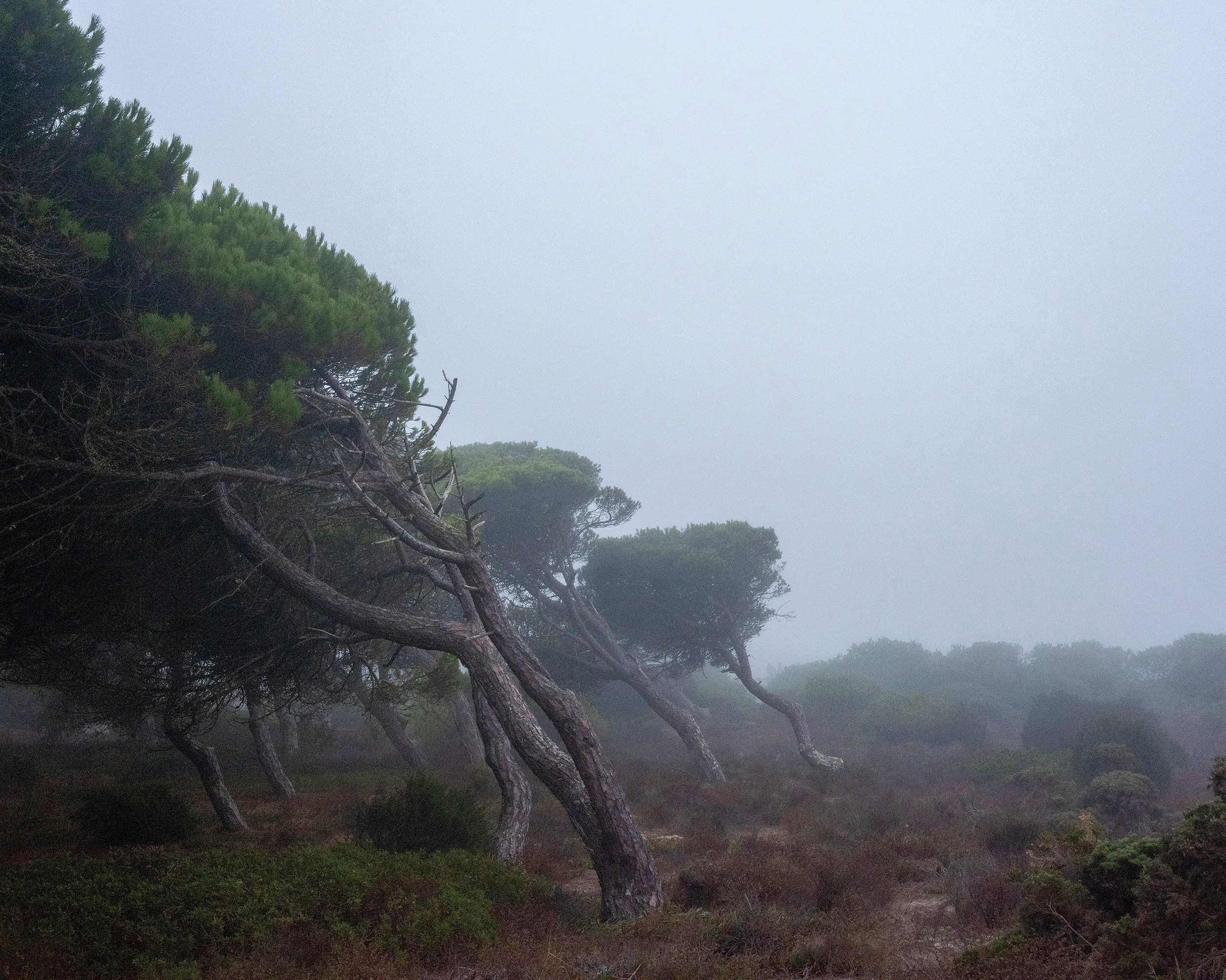 Katya Bogachevskaya — independent curator, lecturer