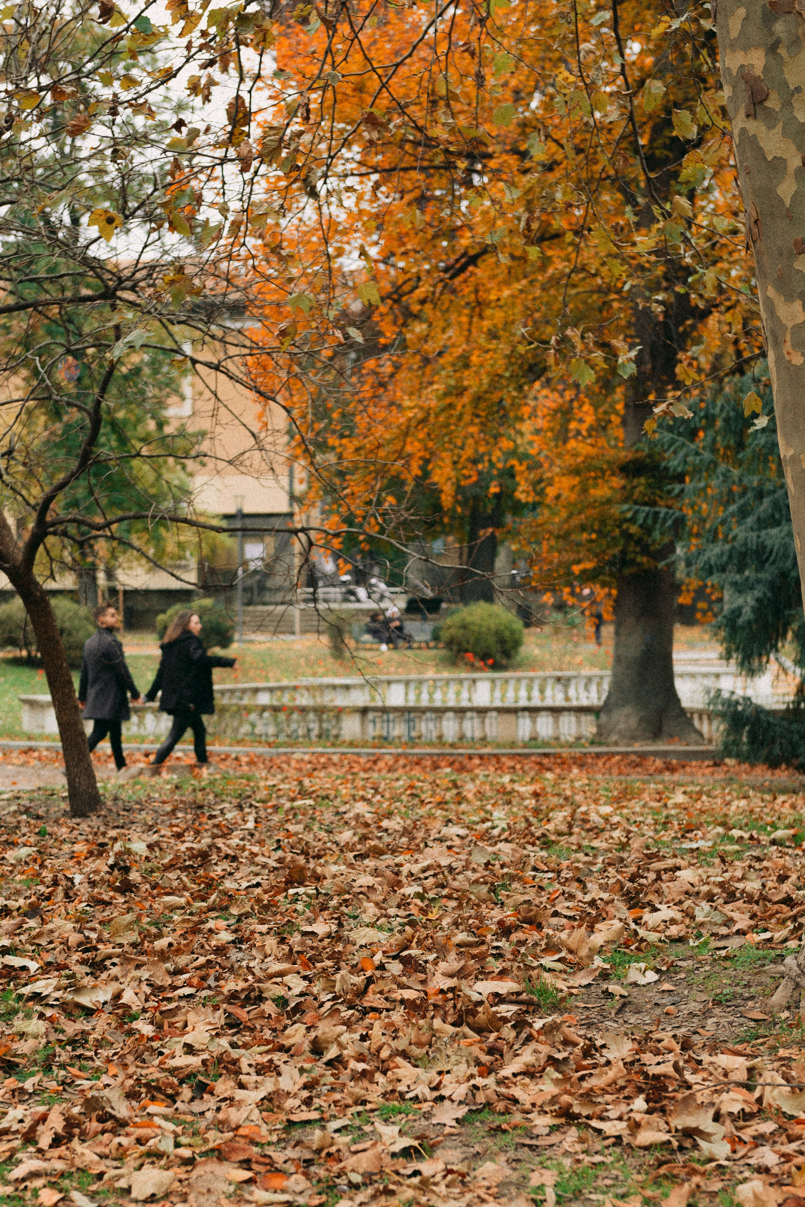 All seasons are fine for a love story photo session in Milan. Autumn photo session in Milan with Russian speaking photographer