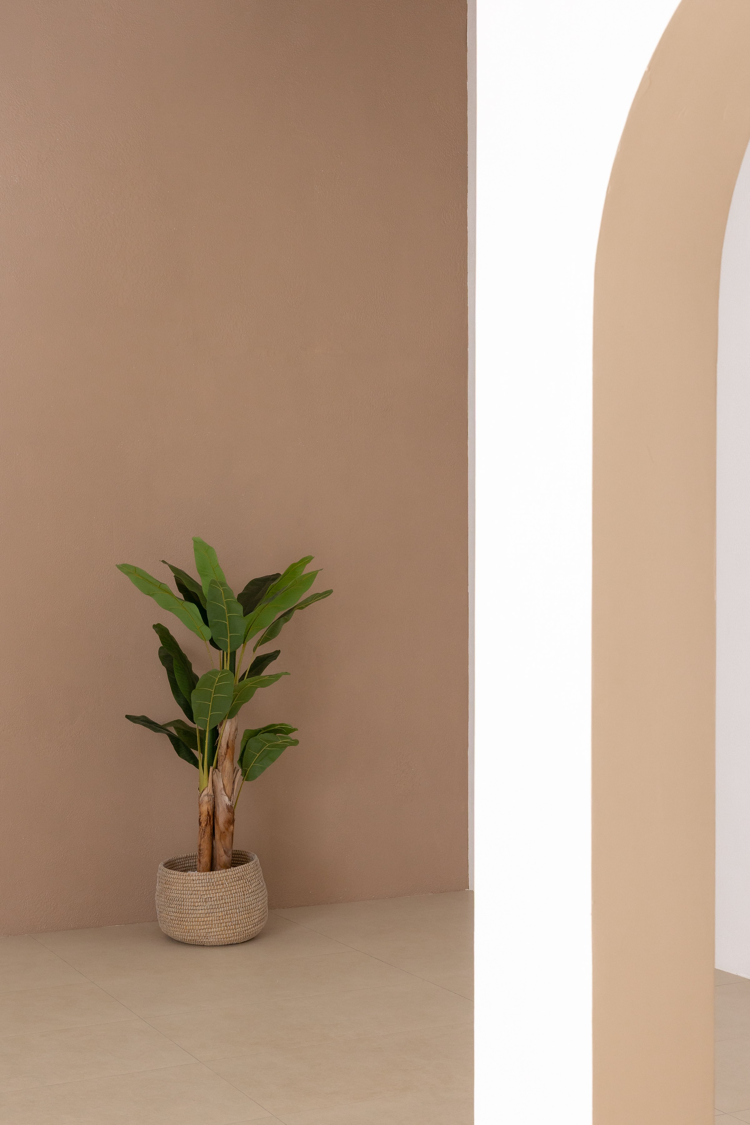 Rental. Dune Zone. Photo and video production in Dubai UAE