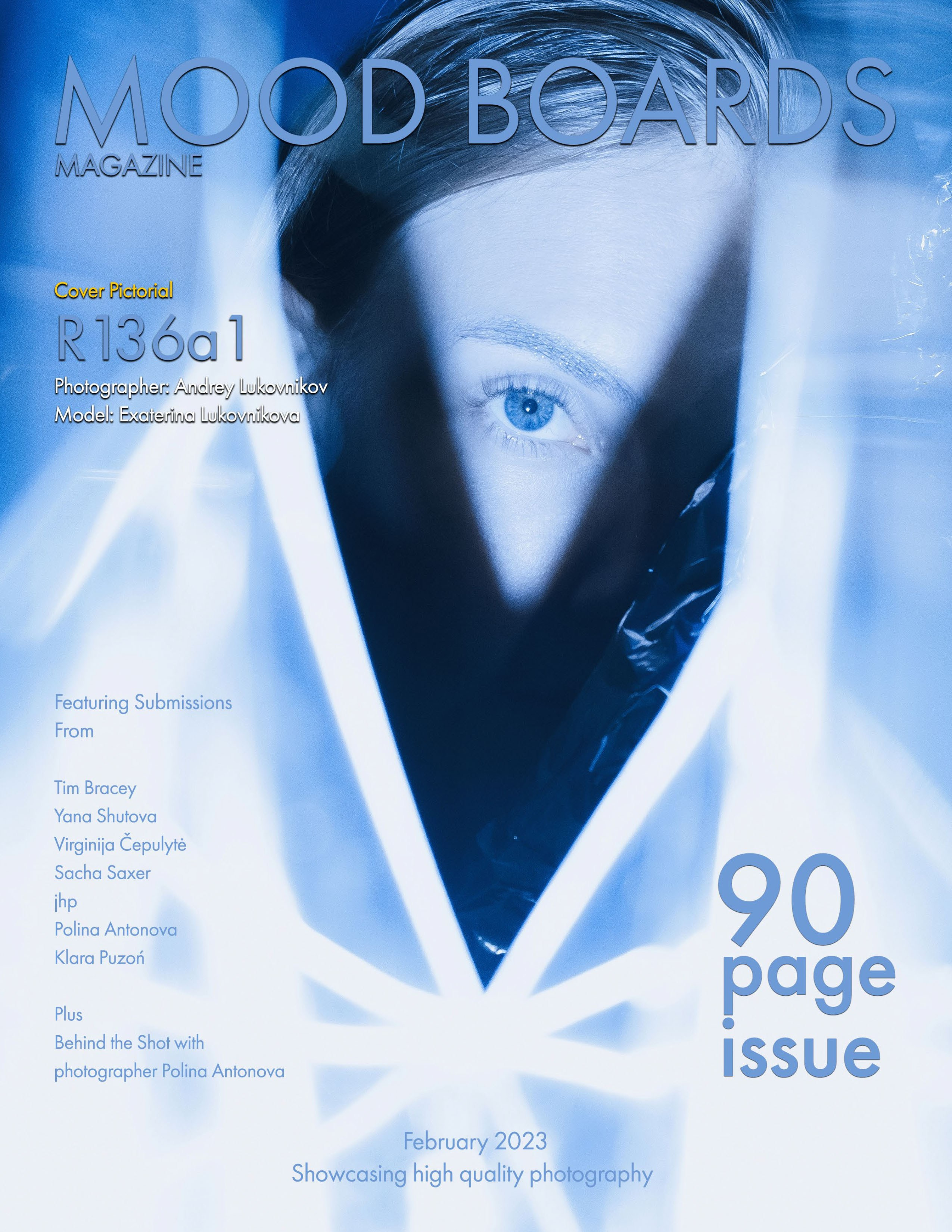 The best publications of the project R136a1