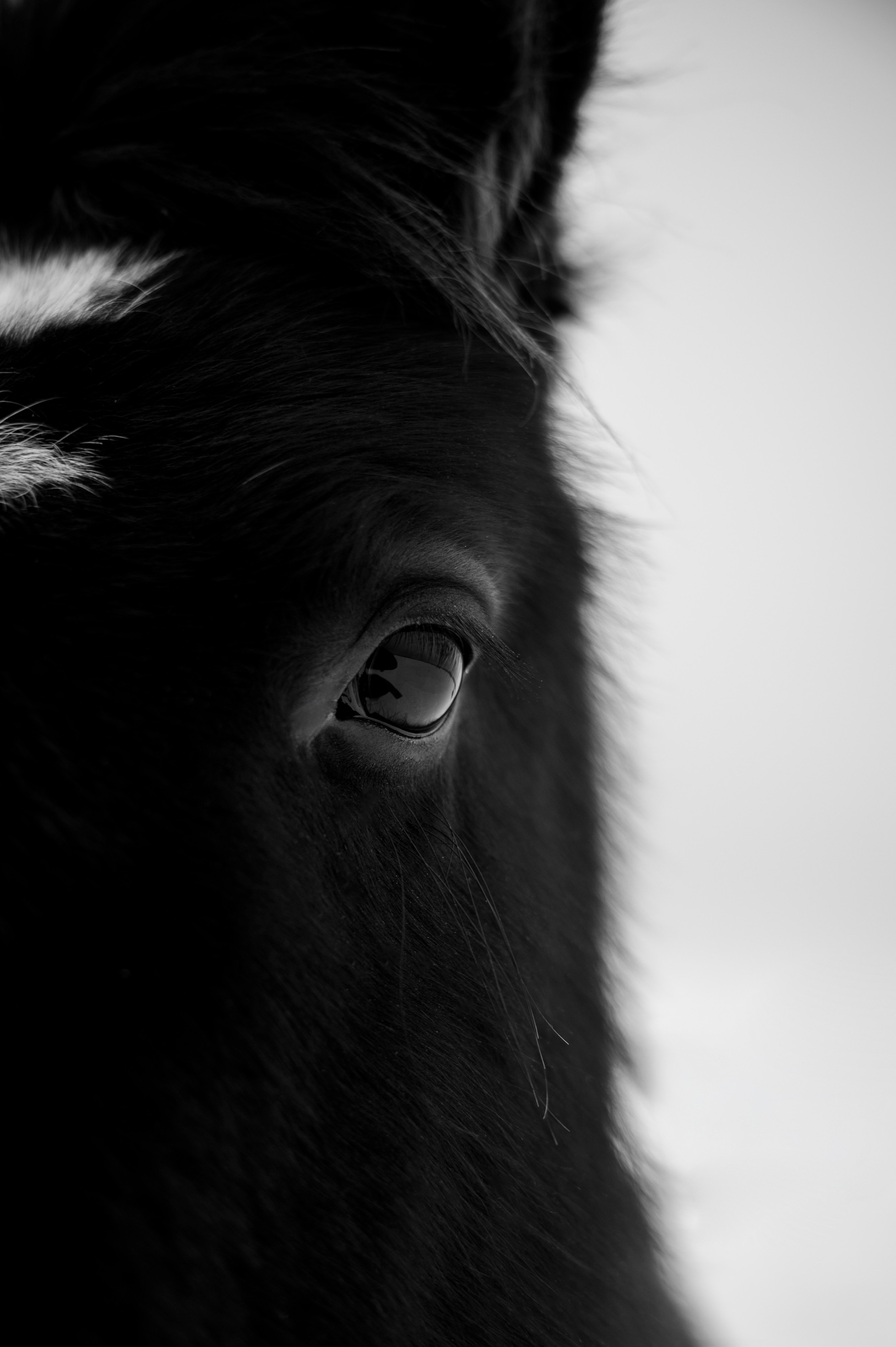 Семья/пара. Фотограф Таллинн — свадьба |семья | lovestory