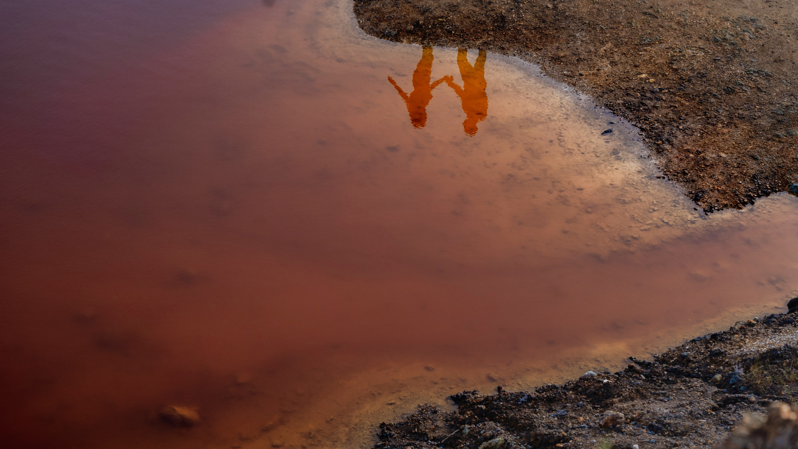 Maryna Avramenko Photographer