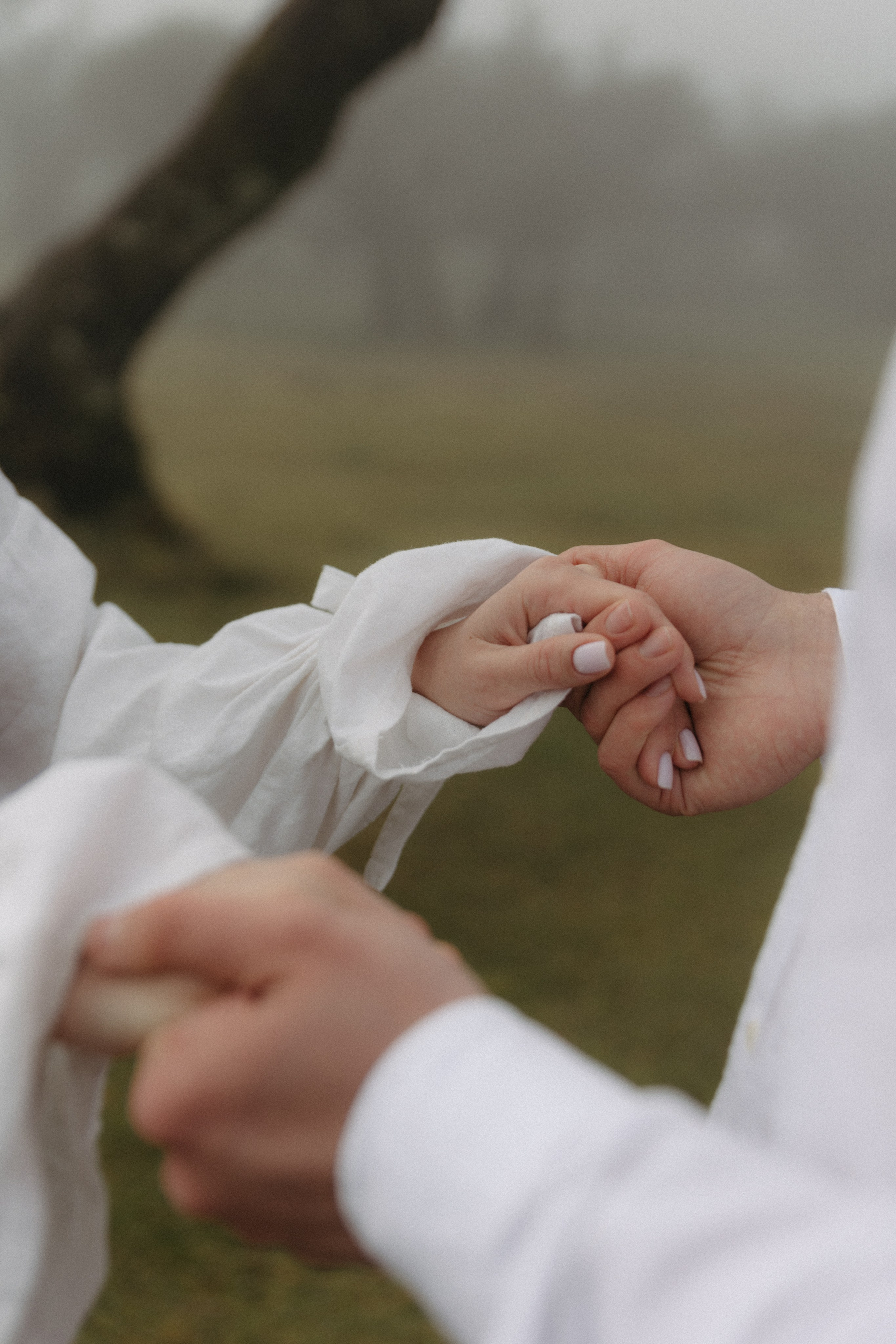 Magic of Fanal Forest. Wedding photographer and videographer based in Timisoara, Romania