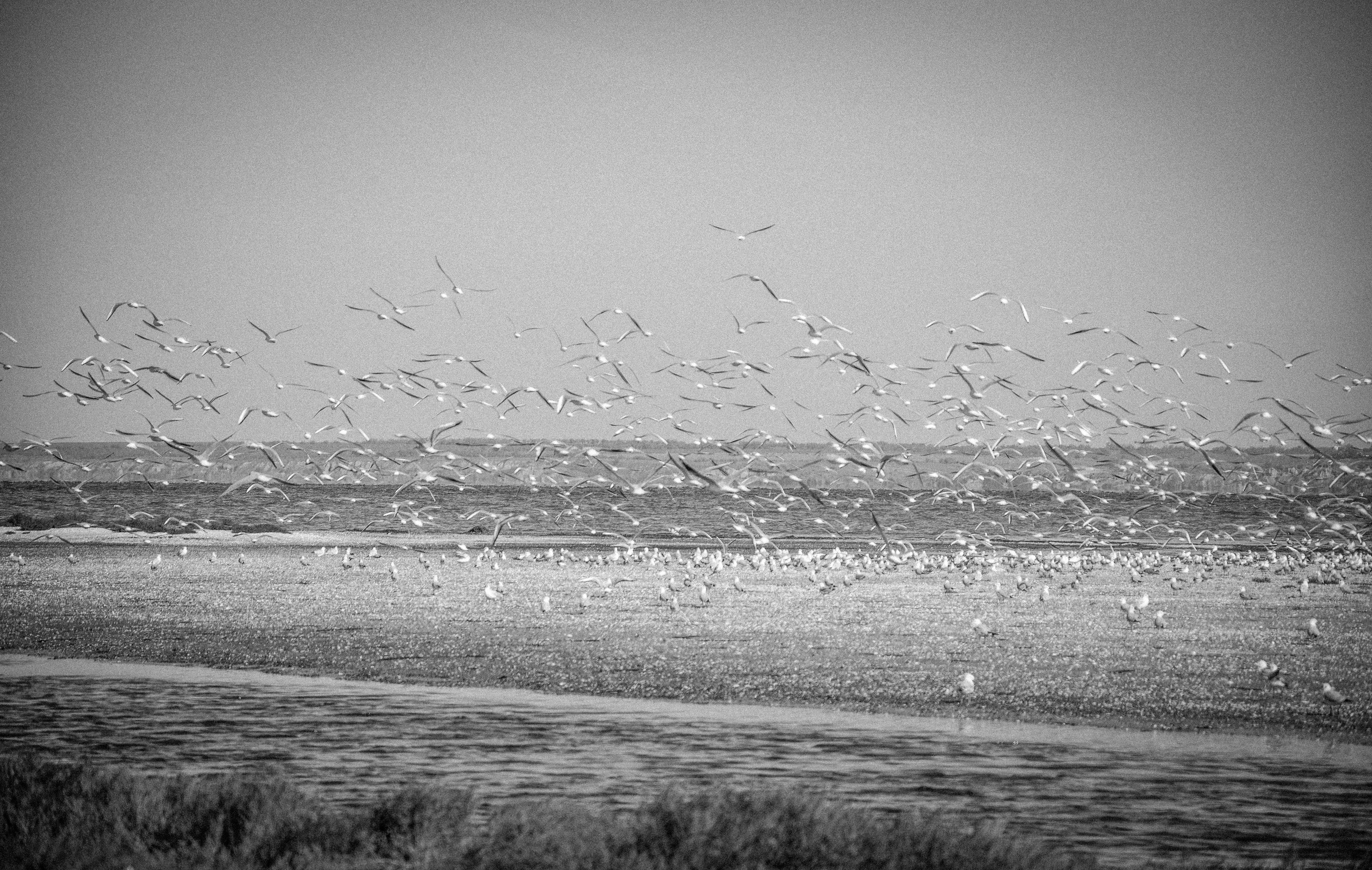 More More. Katerina Kiper Photography