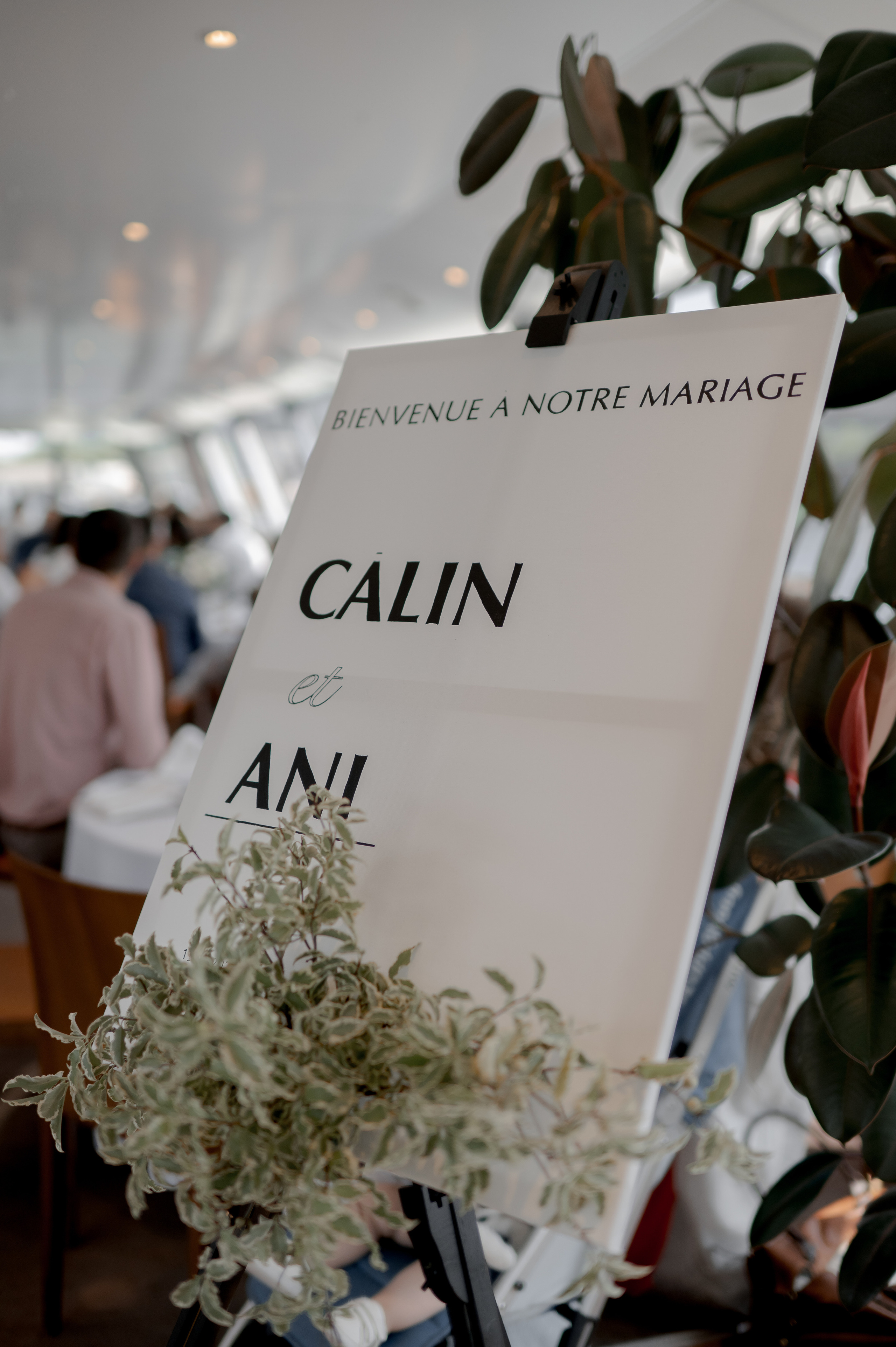 Paris Wedding on The Seine. Wedding photographer and videographer based in Timisoara, Romania