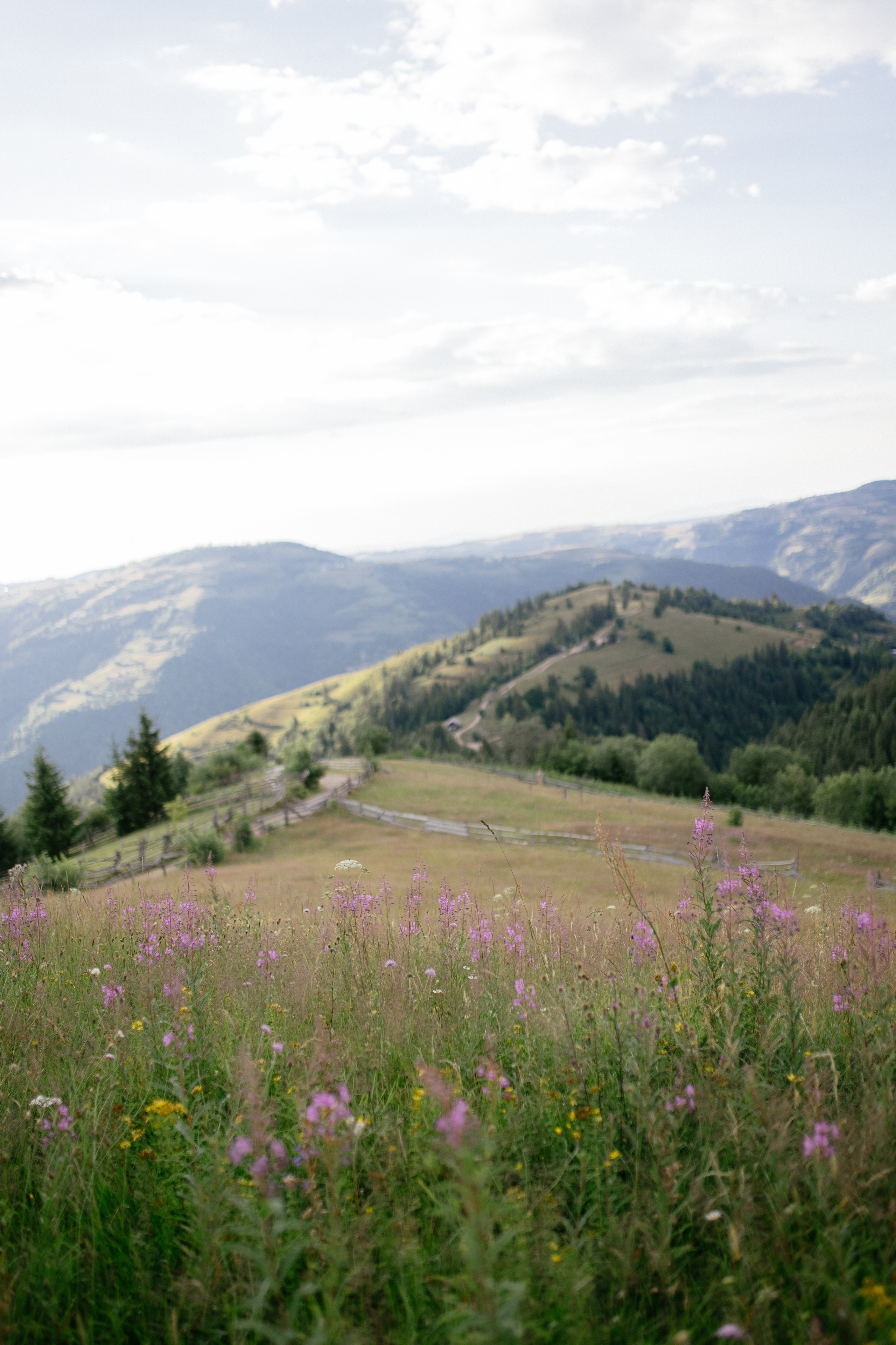 Airy couple session up in the mountains. Italy wedding photographer. Wedding photographer and videographer based in Timisoara, Romania