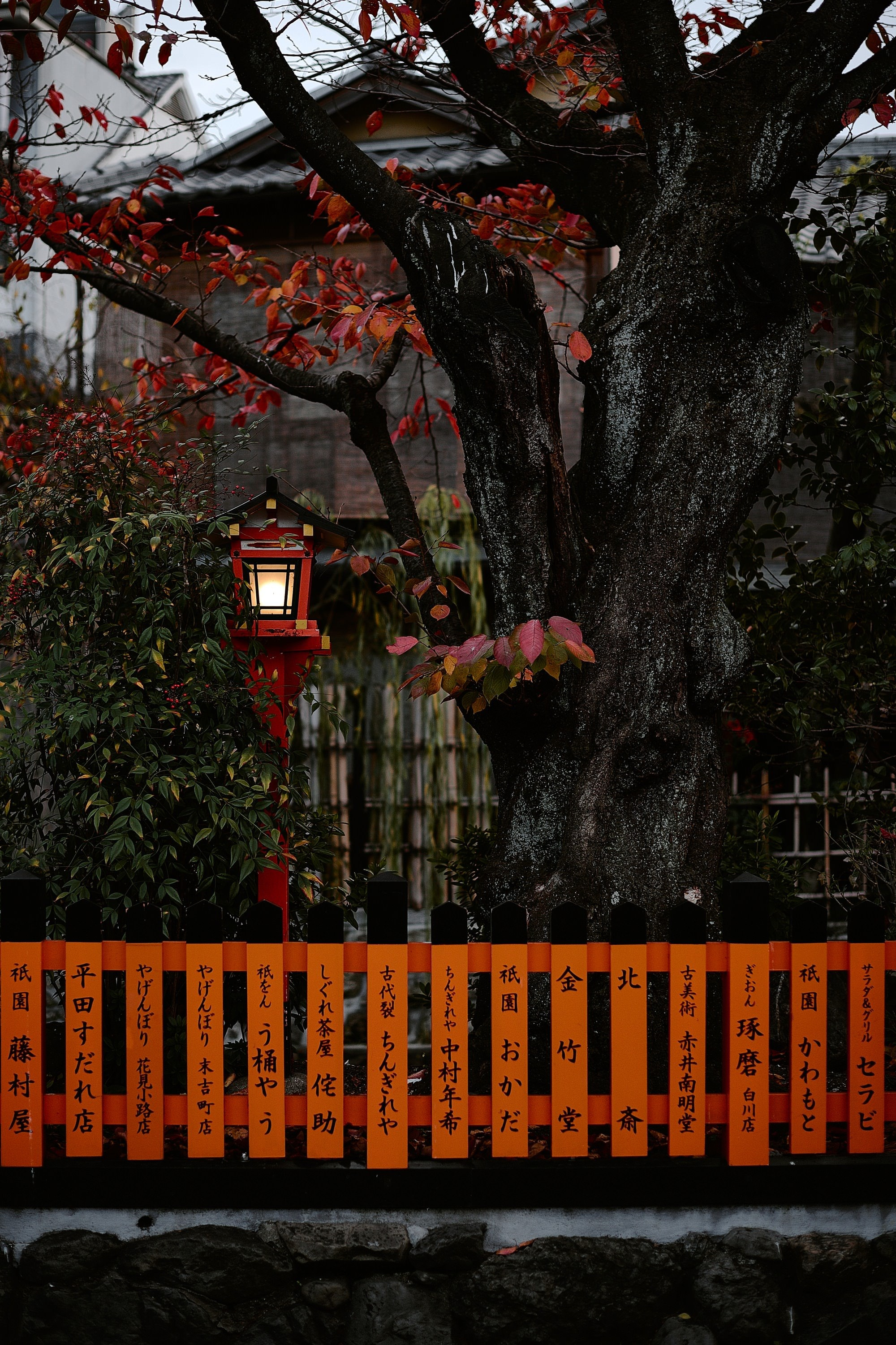 Kyoto and Nara, Japan — A Photographer’s Travel Guide