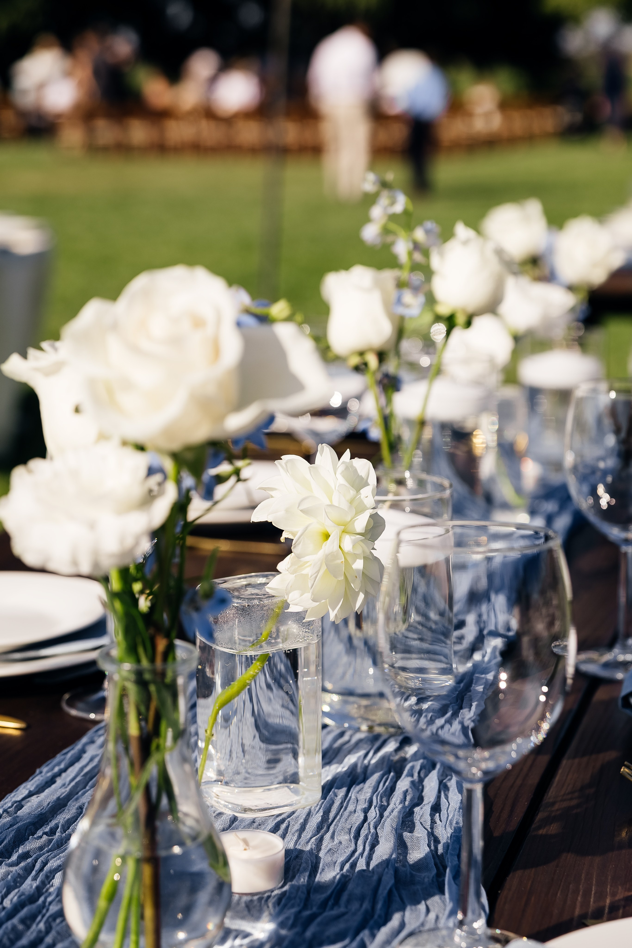 ArtFeather Photography. Sacramento, California