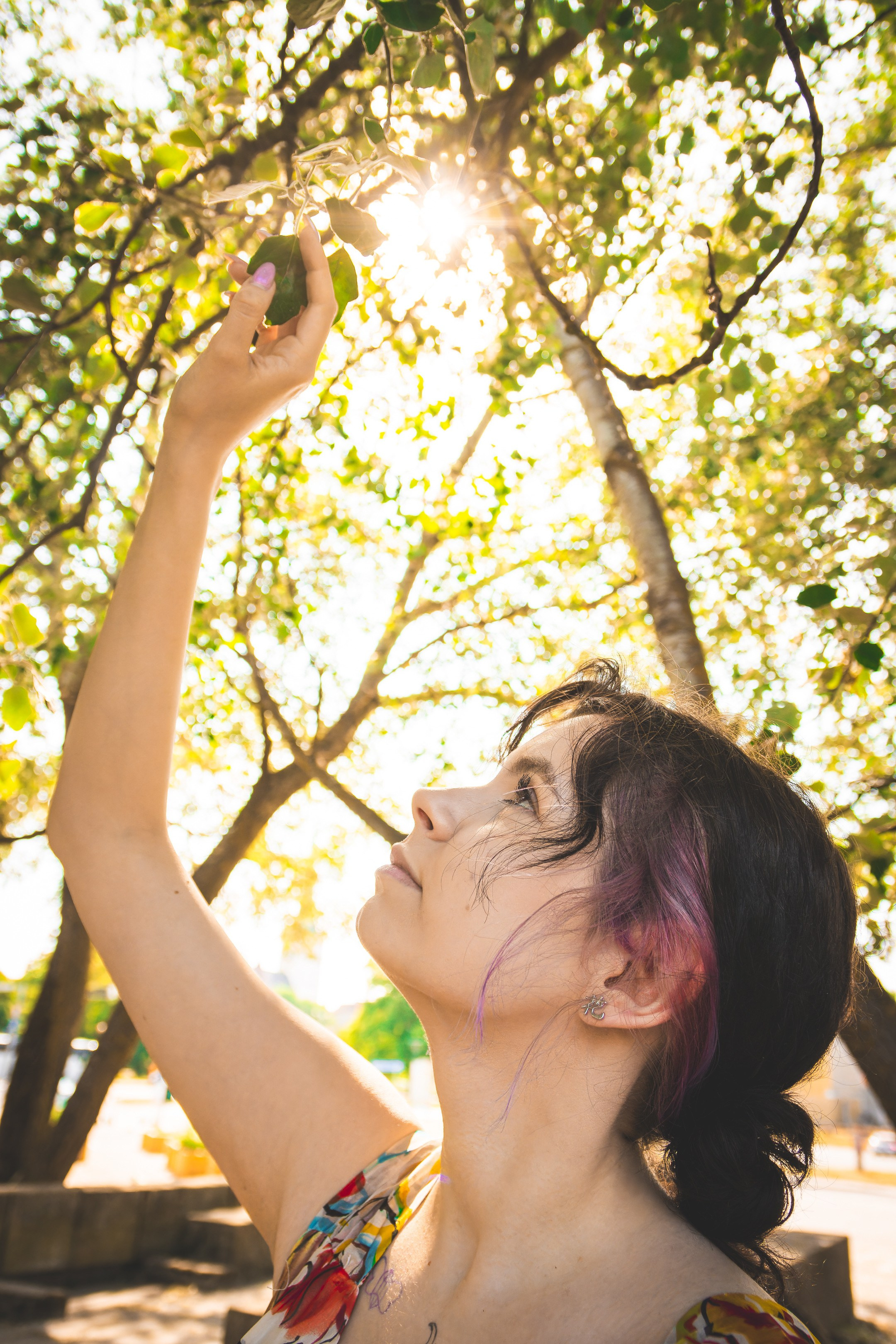 Nebula 25 — Fotod teie hingele