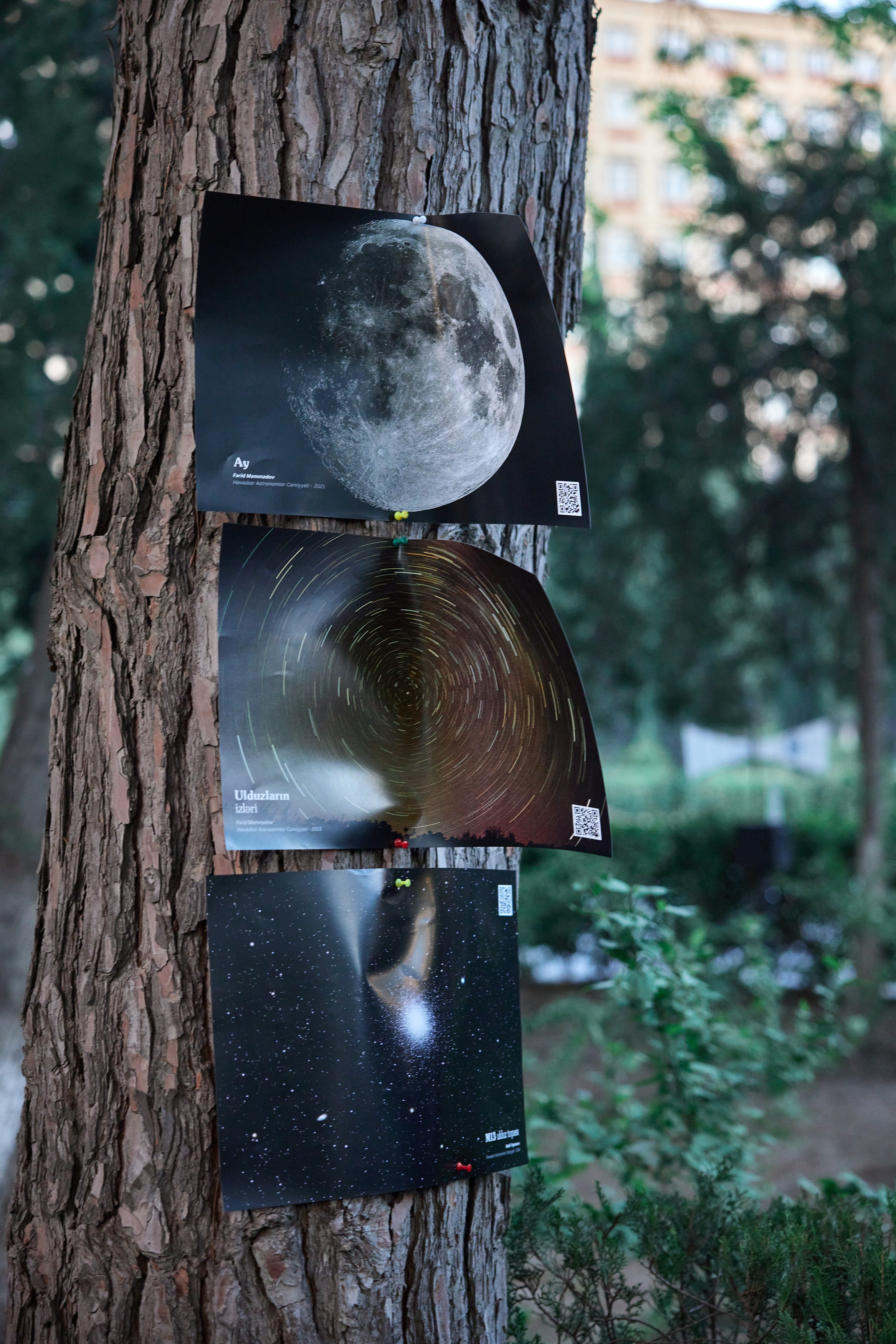 Bakı Dövlət Universitetində müşahidə axşamı. Həvəskar Astronomlar Cəmiyyəti — Astronomy.az