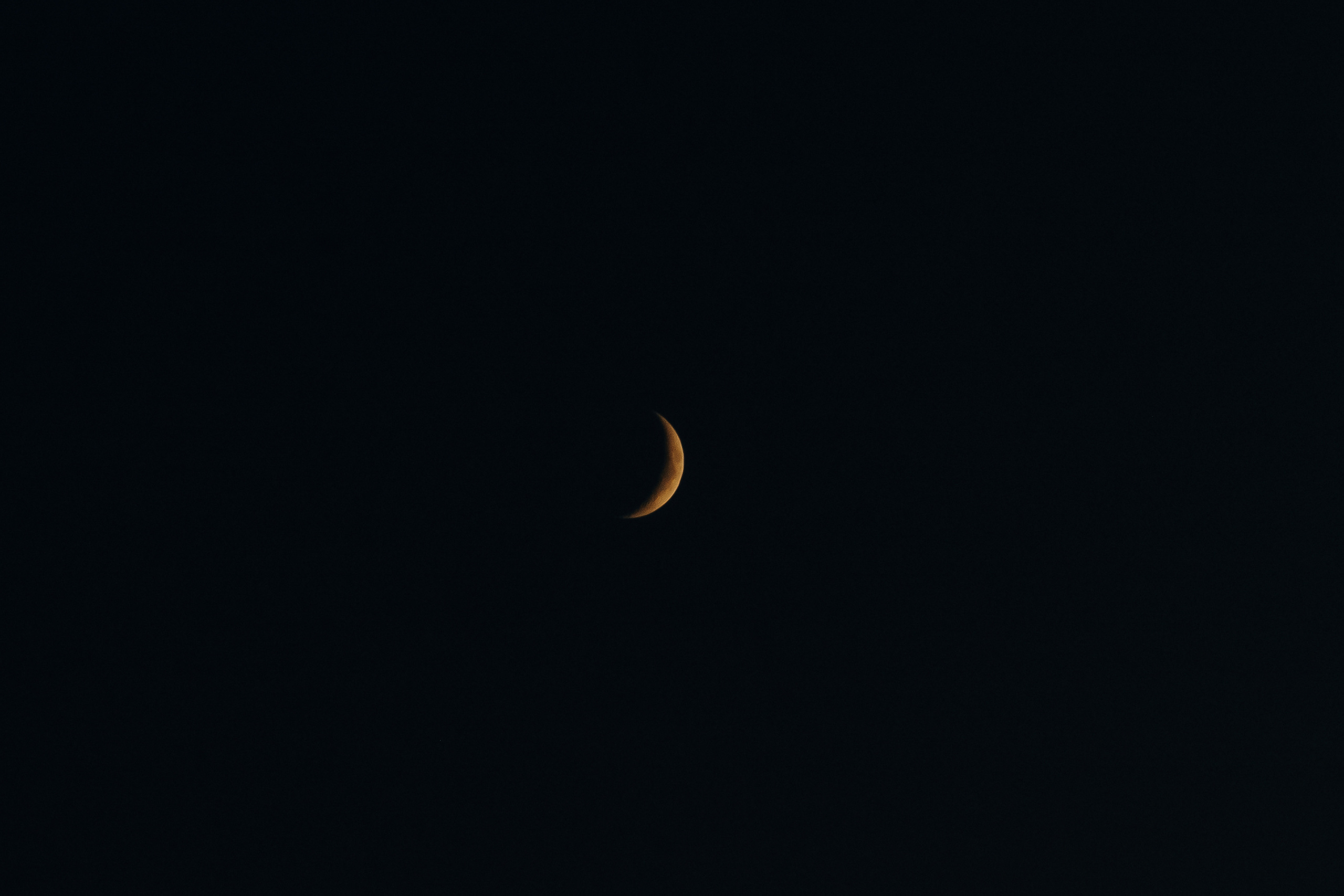 EUGEN + DIANA. Fulga Photographer