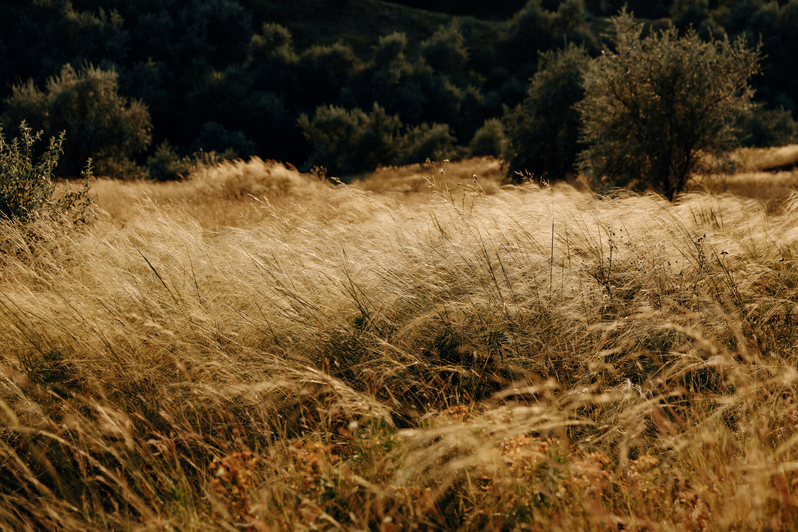 EUGEN + DIANA. Fulga Photographer