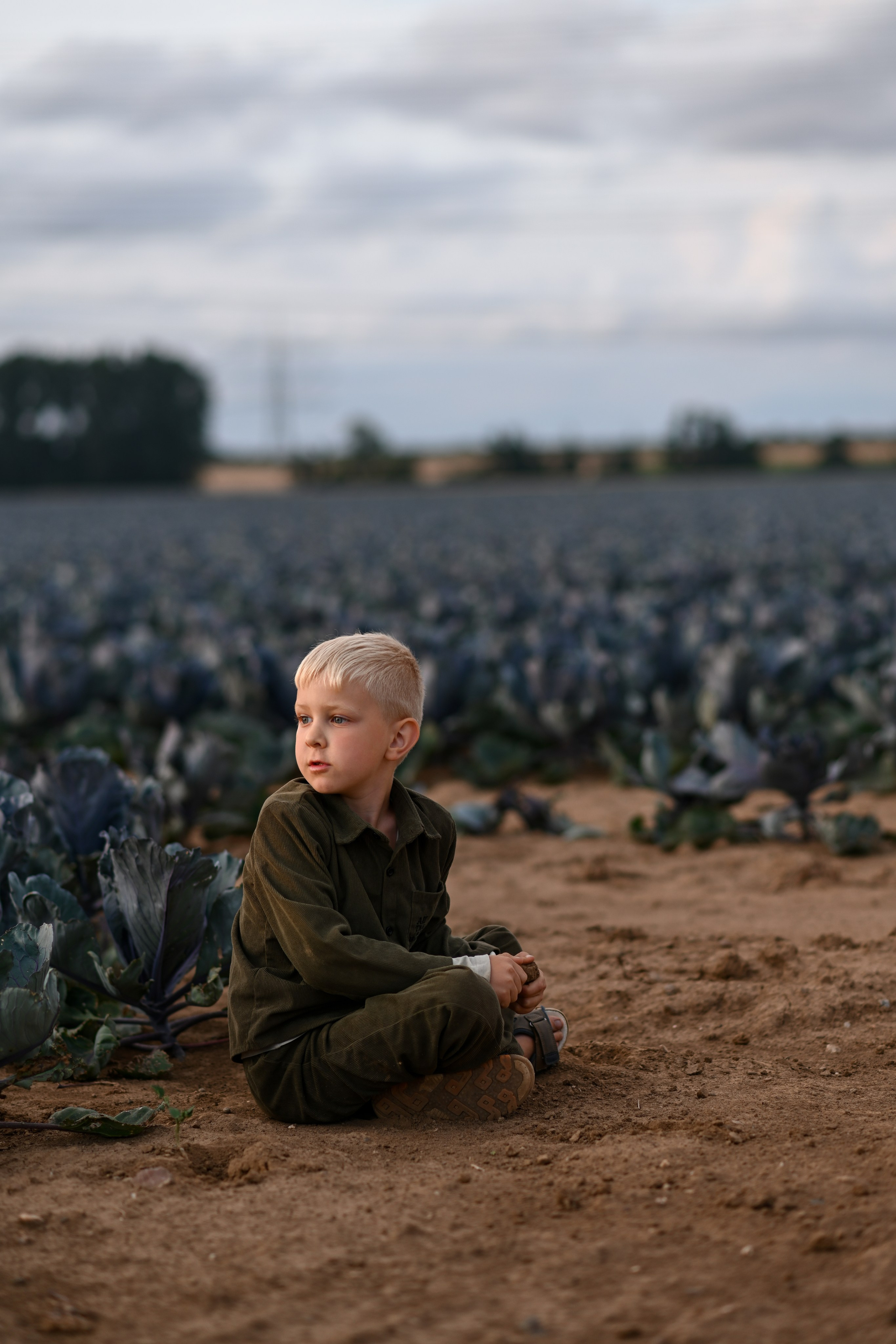 Natürliches Kinder-Fotoshooting zwischen Weizen und Kohl in Niederzier.