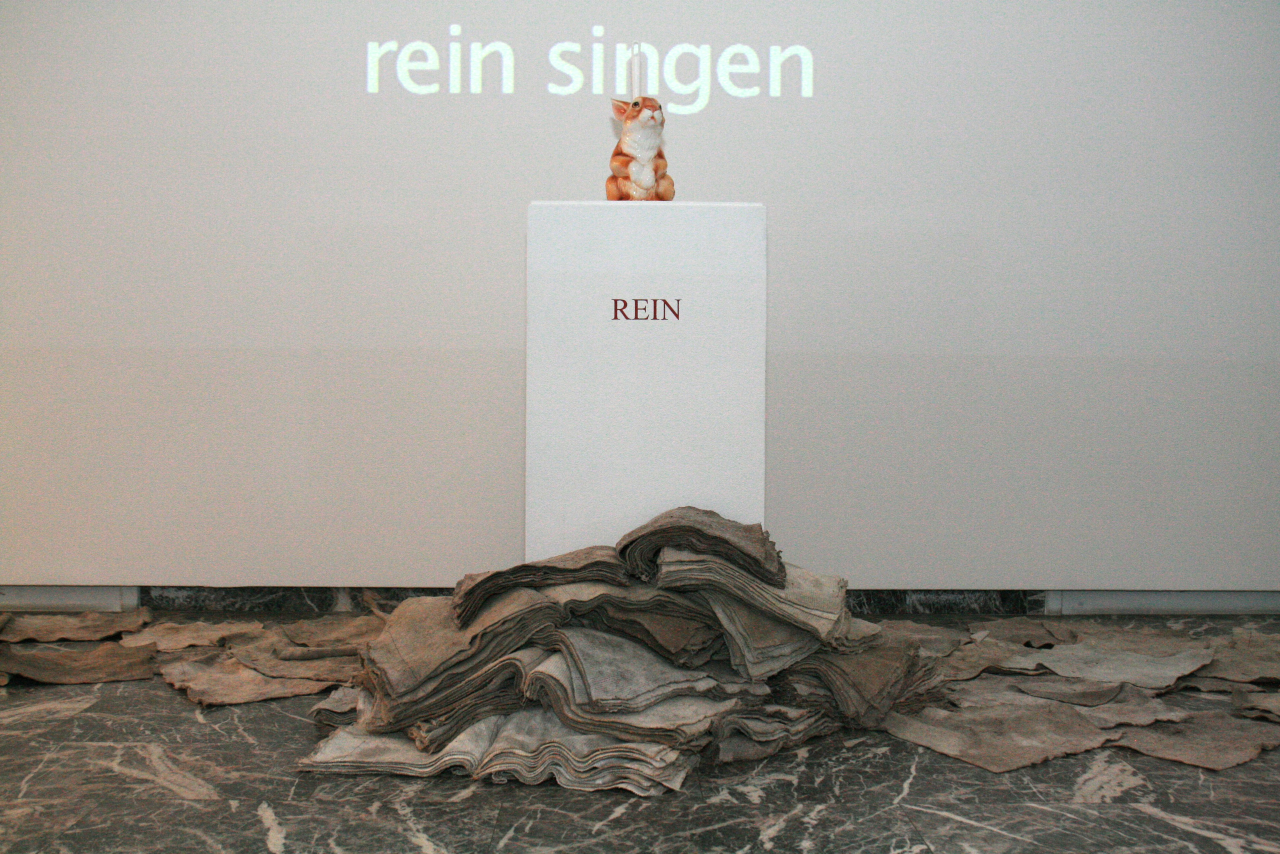 Rein (Clean), 2011. Haim Sokol’s artists website
