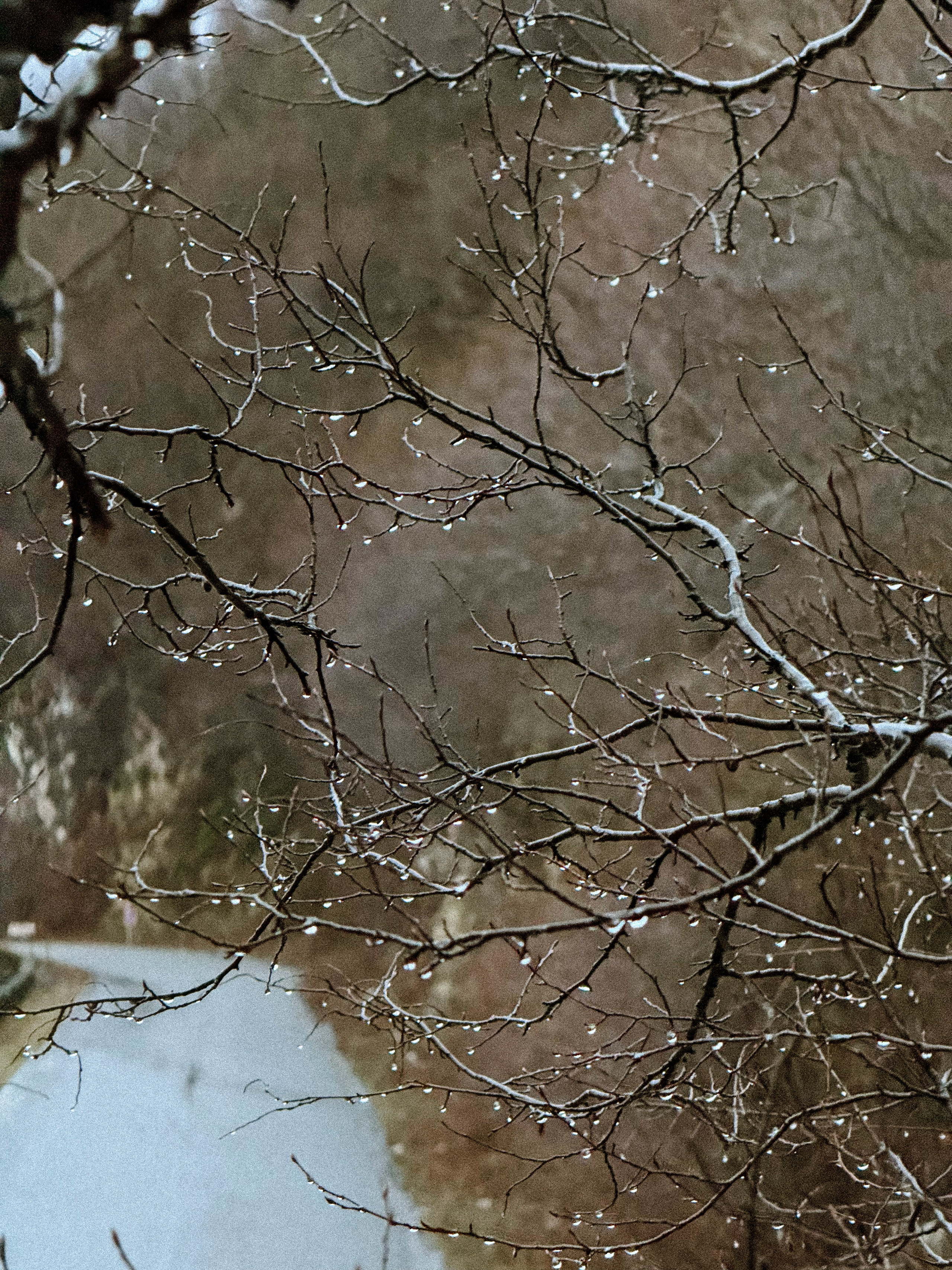 Ceļojums uz Gruziju, filmēju ar iPhone. Video shooting and creating with phone, iPhone Video School