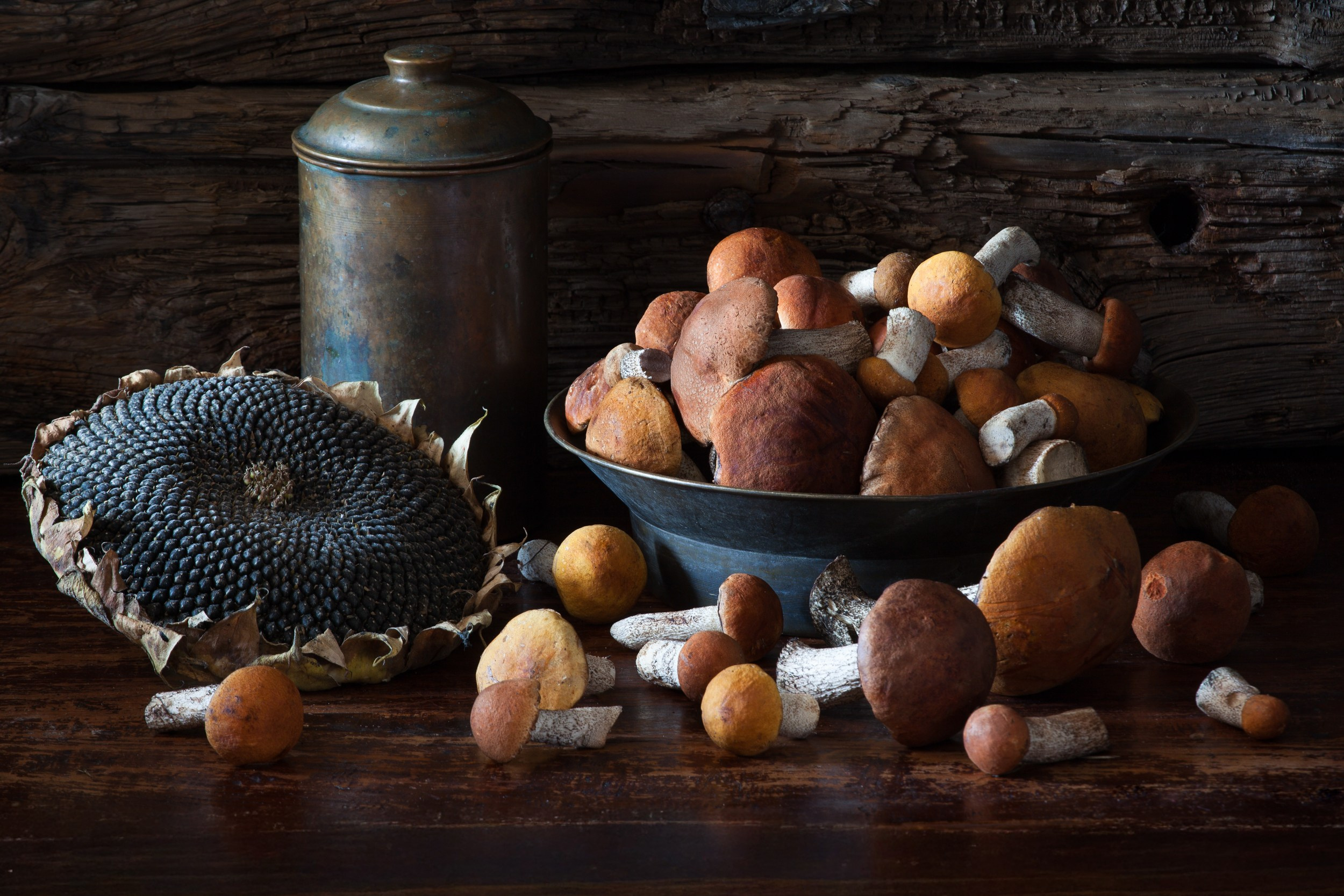 PAR MUMS. Fotokursi fotostudijā Rīgā. Profesionāls fotogrāfs Aivars Tipsis