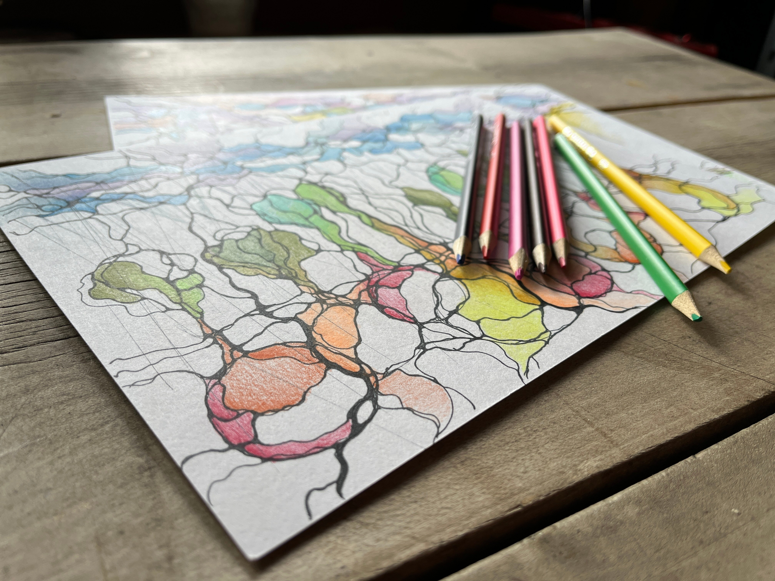 Nevrografika. Numerologija. Nevrografika. Delavnice