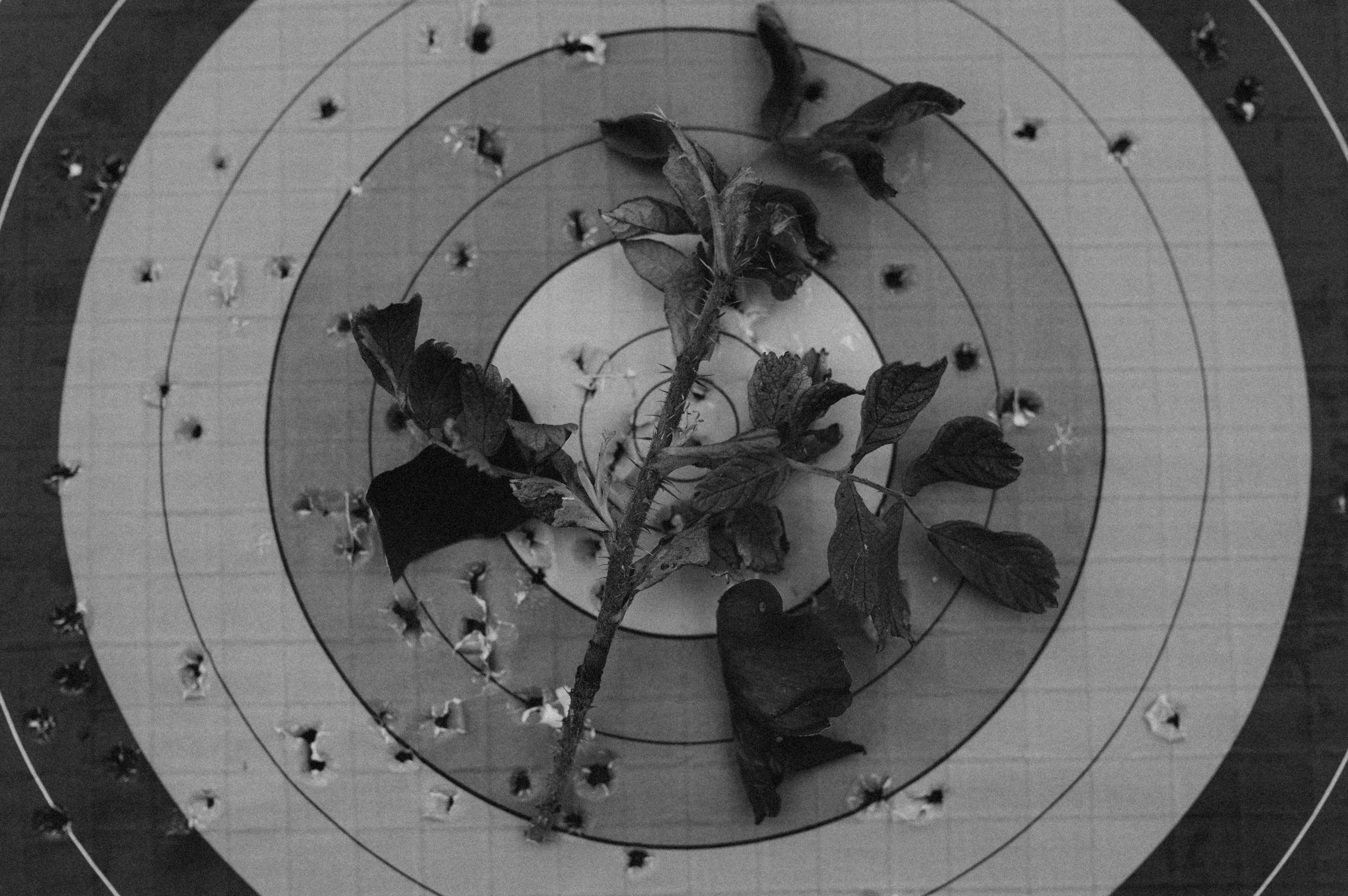 Invisible Boundaries. Photographer in Nuremberg Irina Mehnert from Ansbach