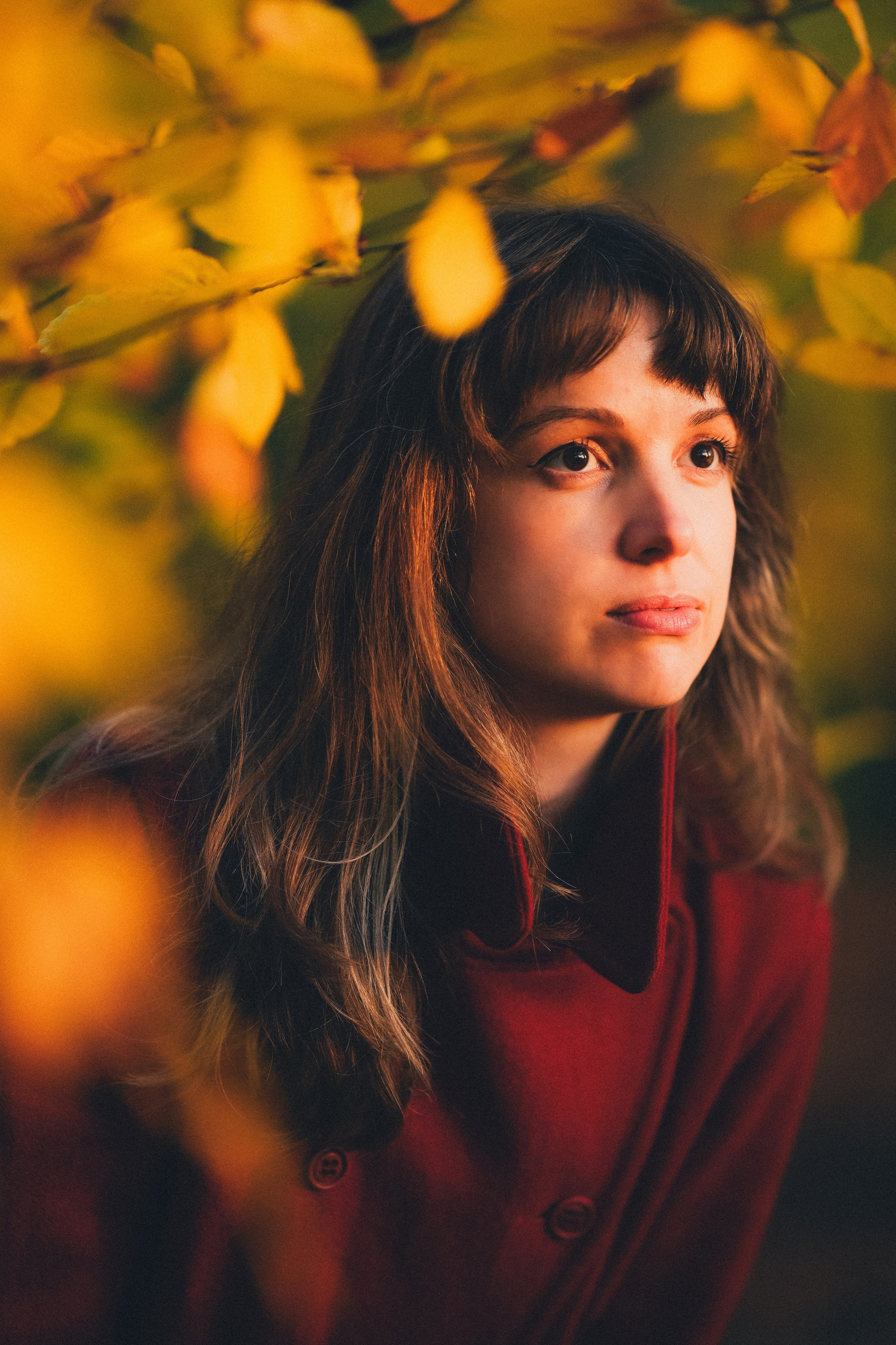 Portrait photography in the woods Solihull. Creative Family, Brand, Boudoir and Wedding Photographer in Solihull & Birmingham Irina Zoteeva