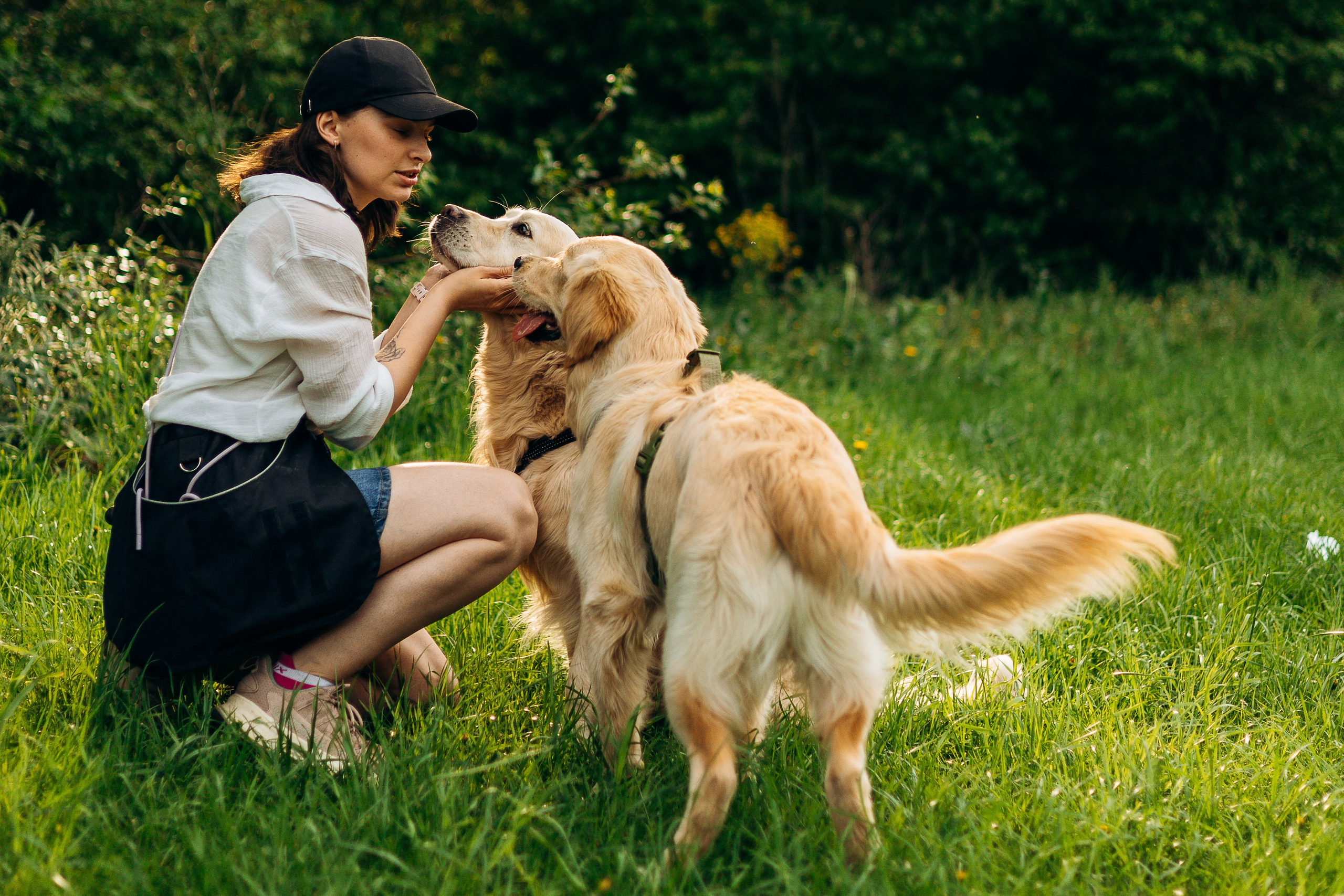 Фотограф-анималист | Белград