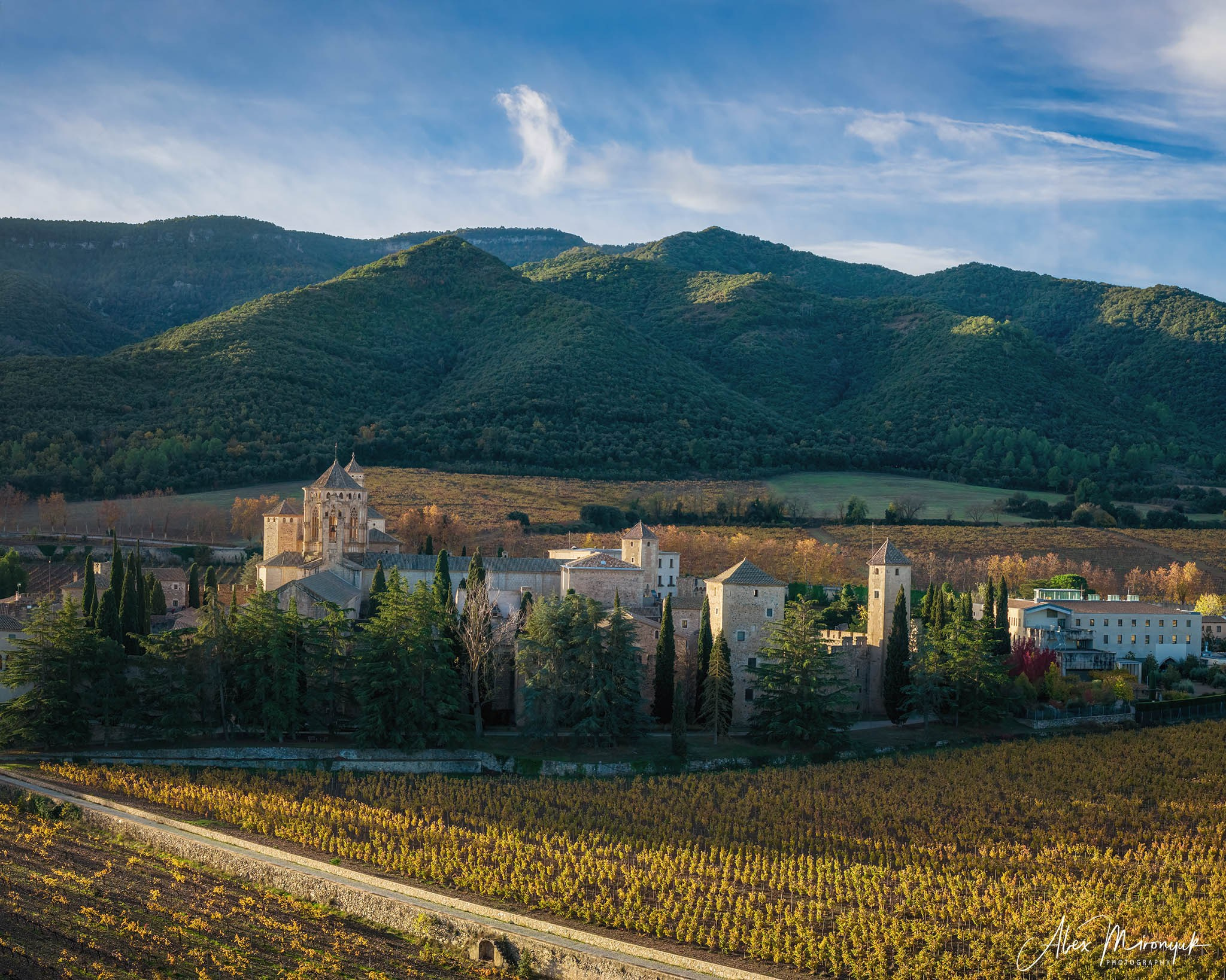 Catalonian Medieval Castles. Pet, Senior, Landscape, portrait studio, photographer in Miami and Sou