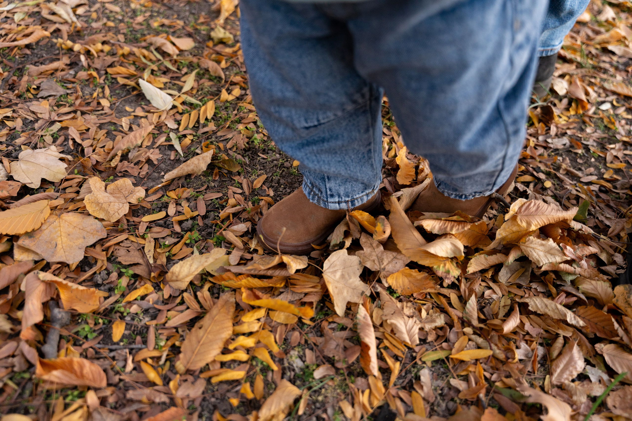 Smash the cake. Fotograf evenimente, fotograf nunta, fotograf botez