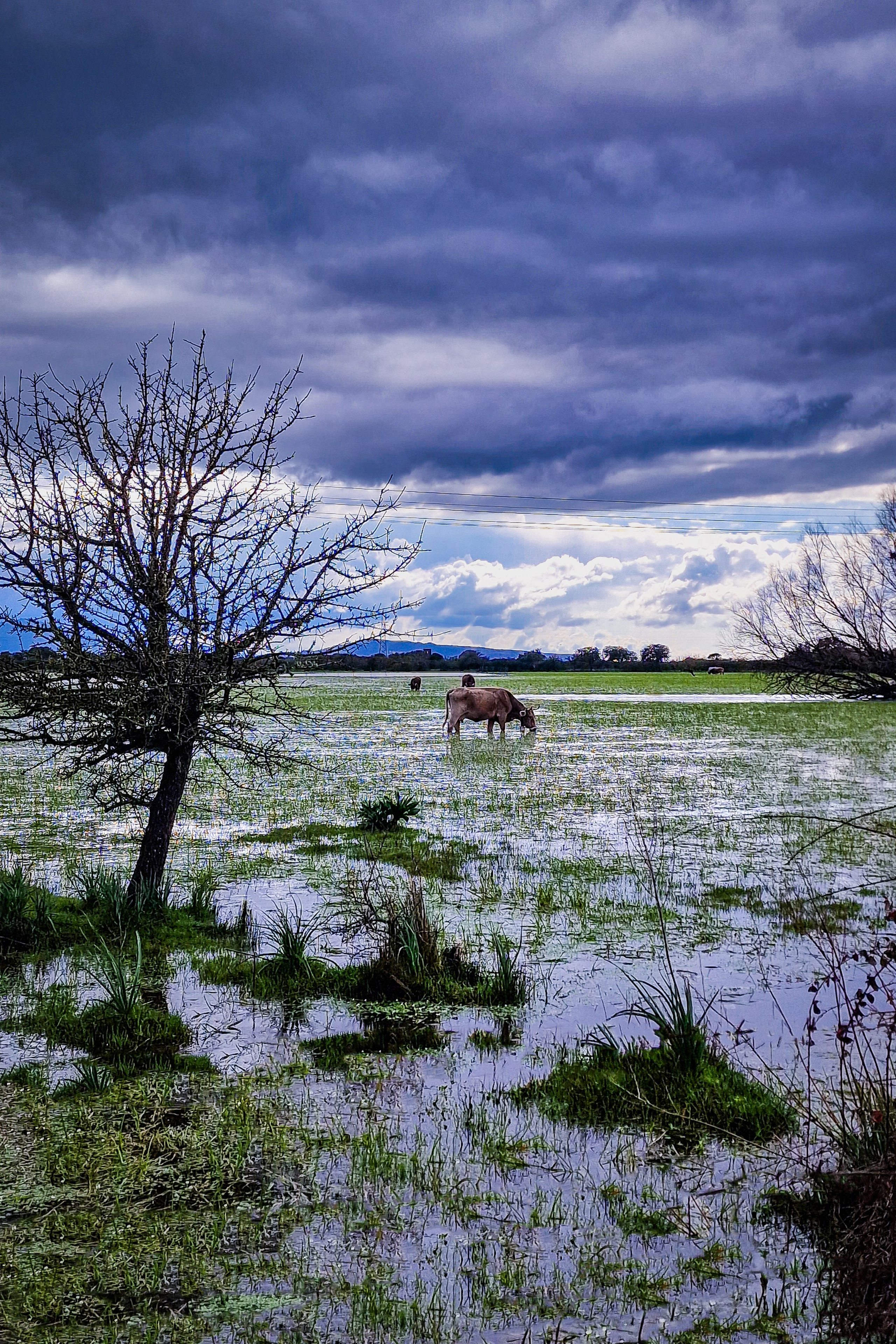 Paesaggi. Olga Manukhina fotografo in Sardegna