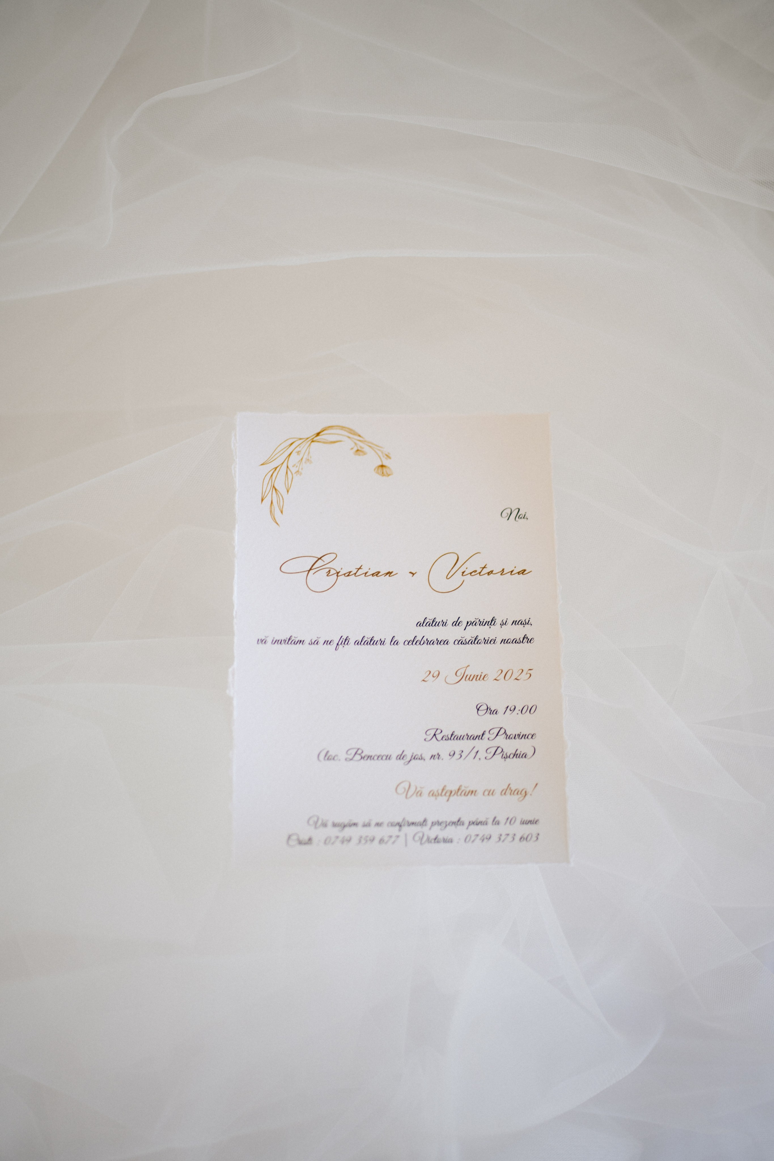 Victoria & Cristian | Wedding at Province Timisoara. Wedding photographer and videographer based in Timisoara, Romania