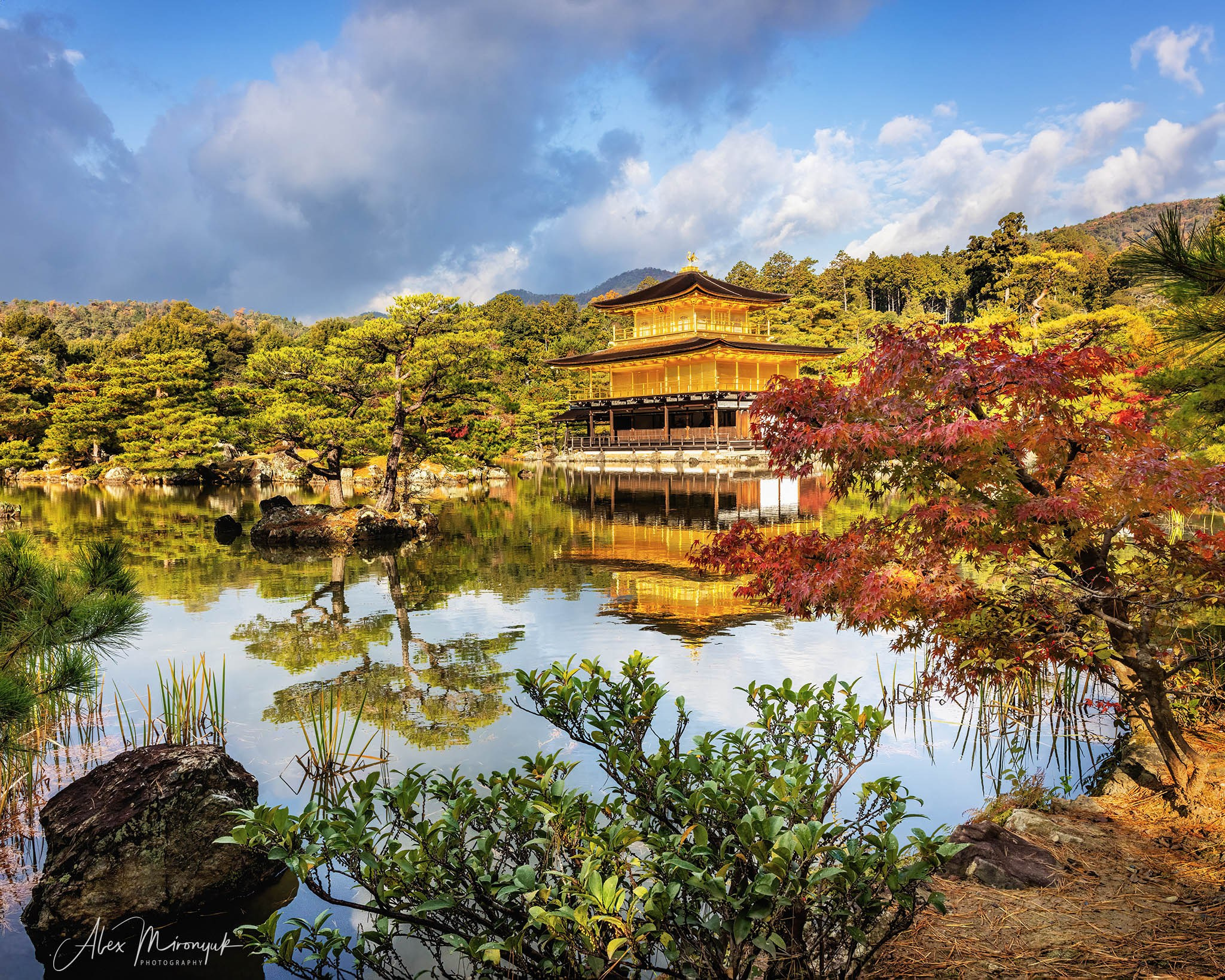 Autumn Colors of Japan. Pet, Senior, Landscape, portrait studio, photographer in Miami and Sou