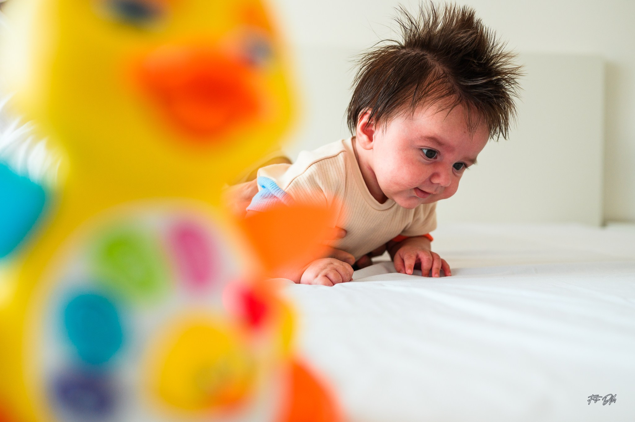 🌻 Eden | Christening ❤️. Fotografie & Videografie de nuntă în Timișoara