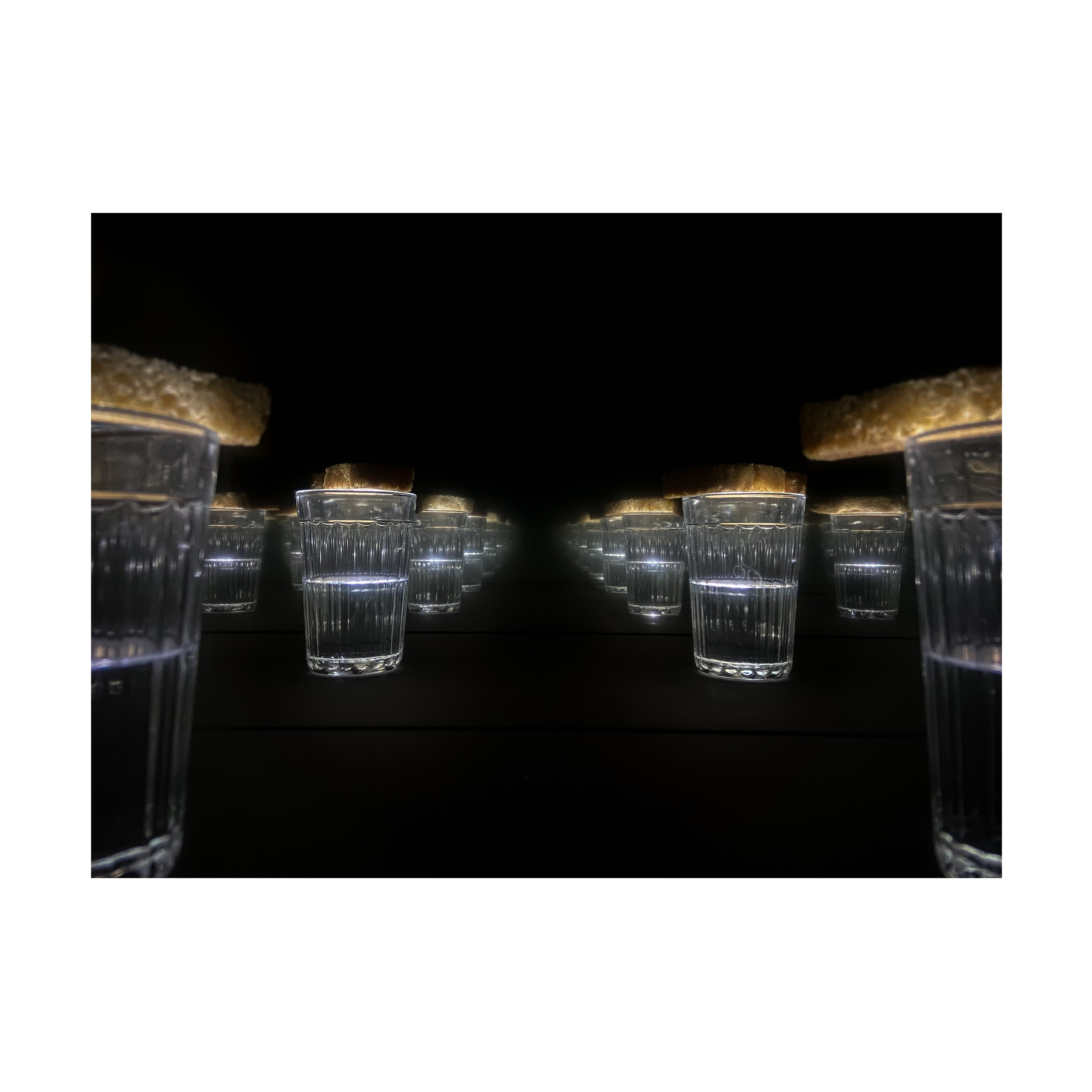 Phoenix. Nelly Elagina