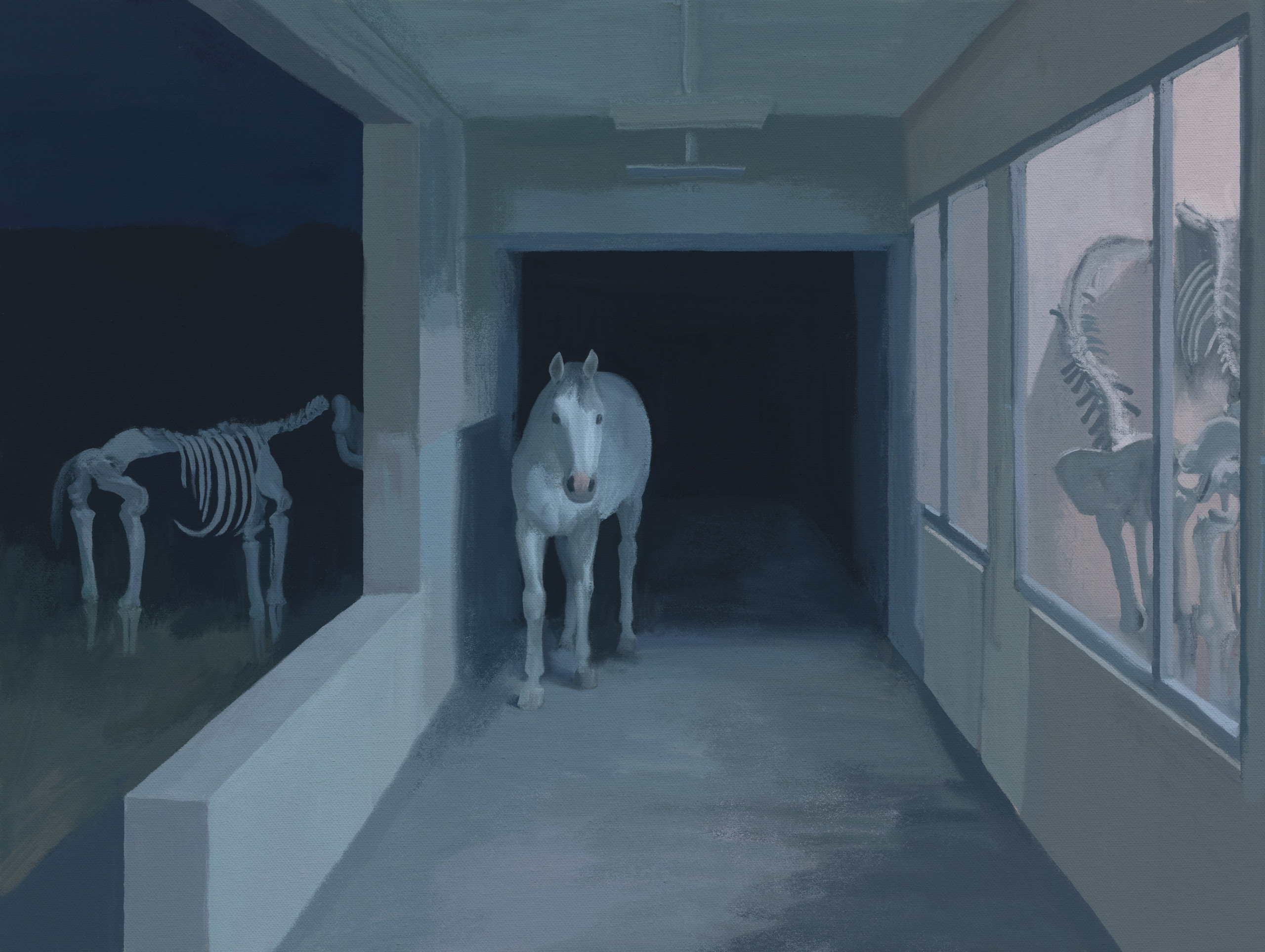 Horse Hospital. Marina Antonova