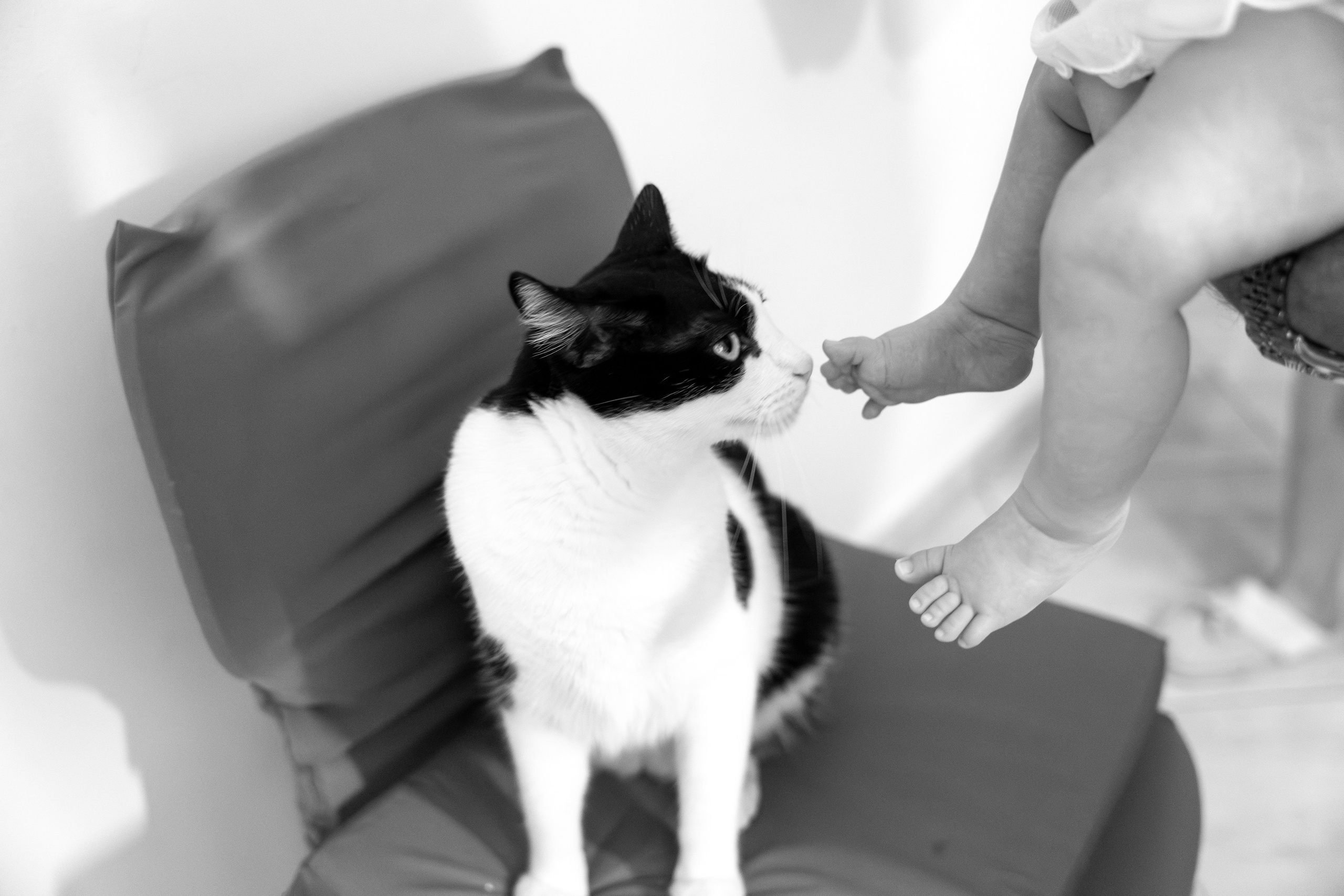 Creștinare Olivia Maria. Fotograf evenimente, fotograf nunta, fotograf botez