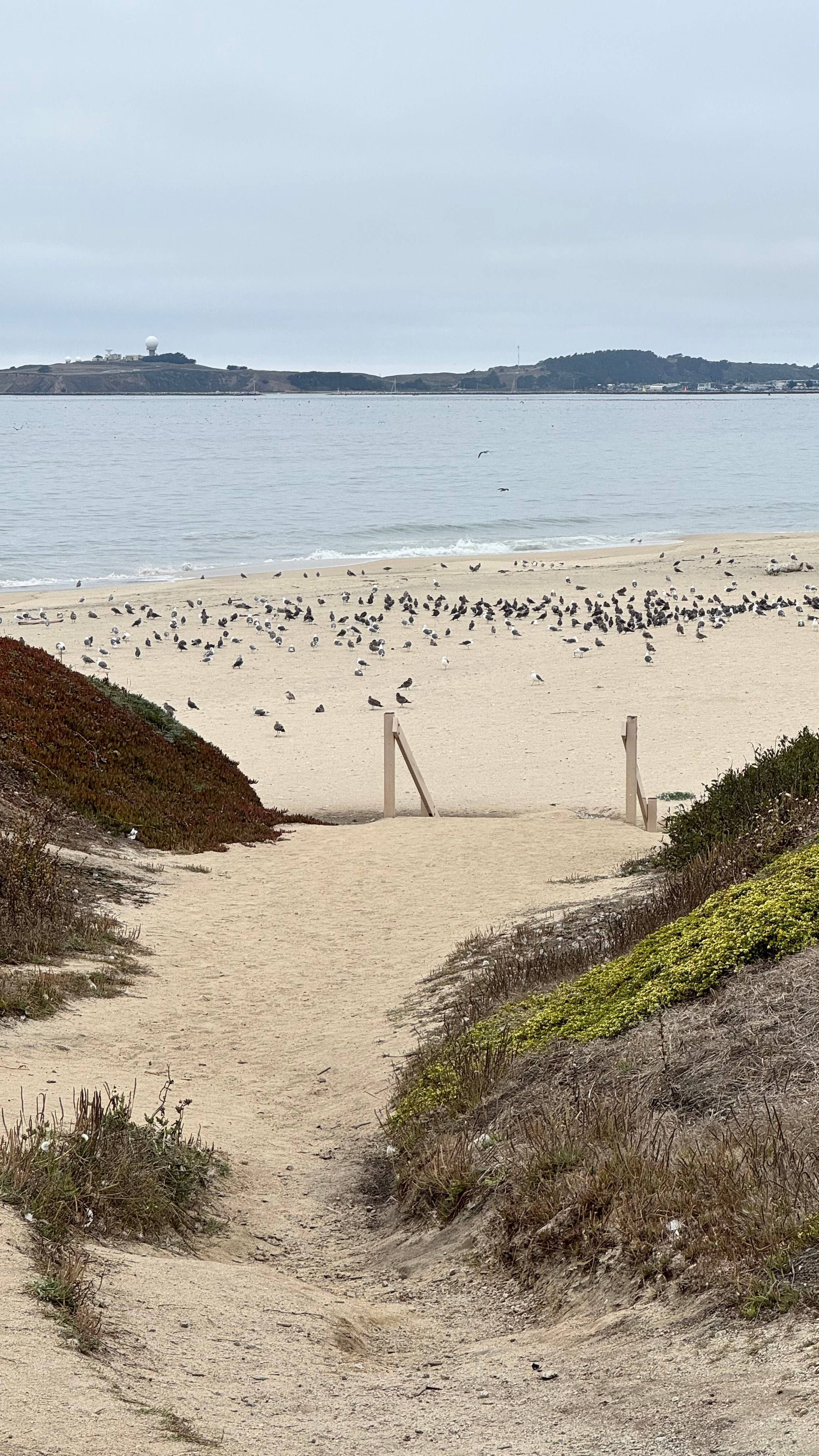 Bay Area Beach Guide for Photoshoots | Best Beaches for Maternity, Couples & Family. Maternity, newborn photographer in the Bay Area|Iryna Rakivnenko