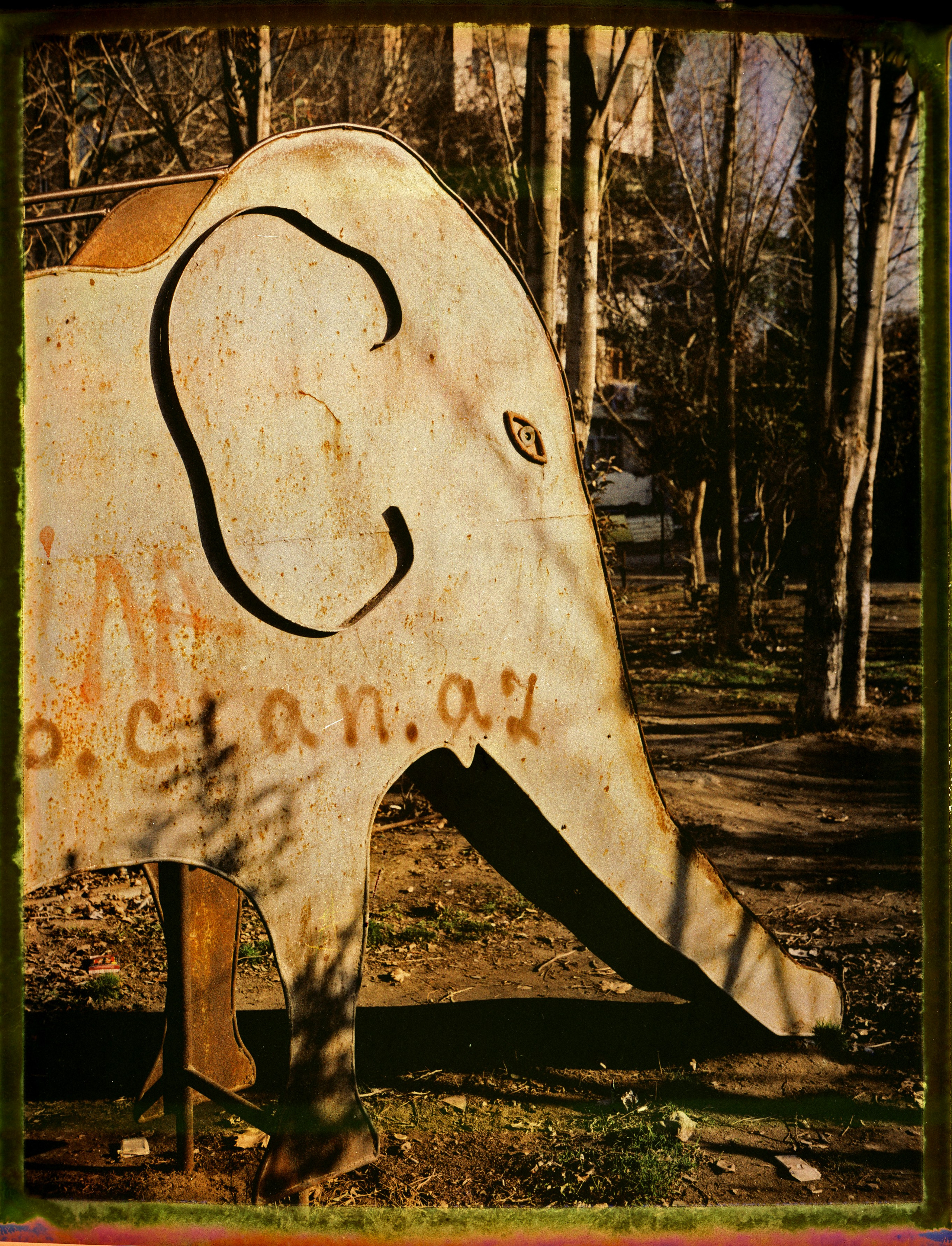 POLAROID. Www.sananaleskerov.com