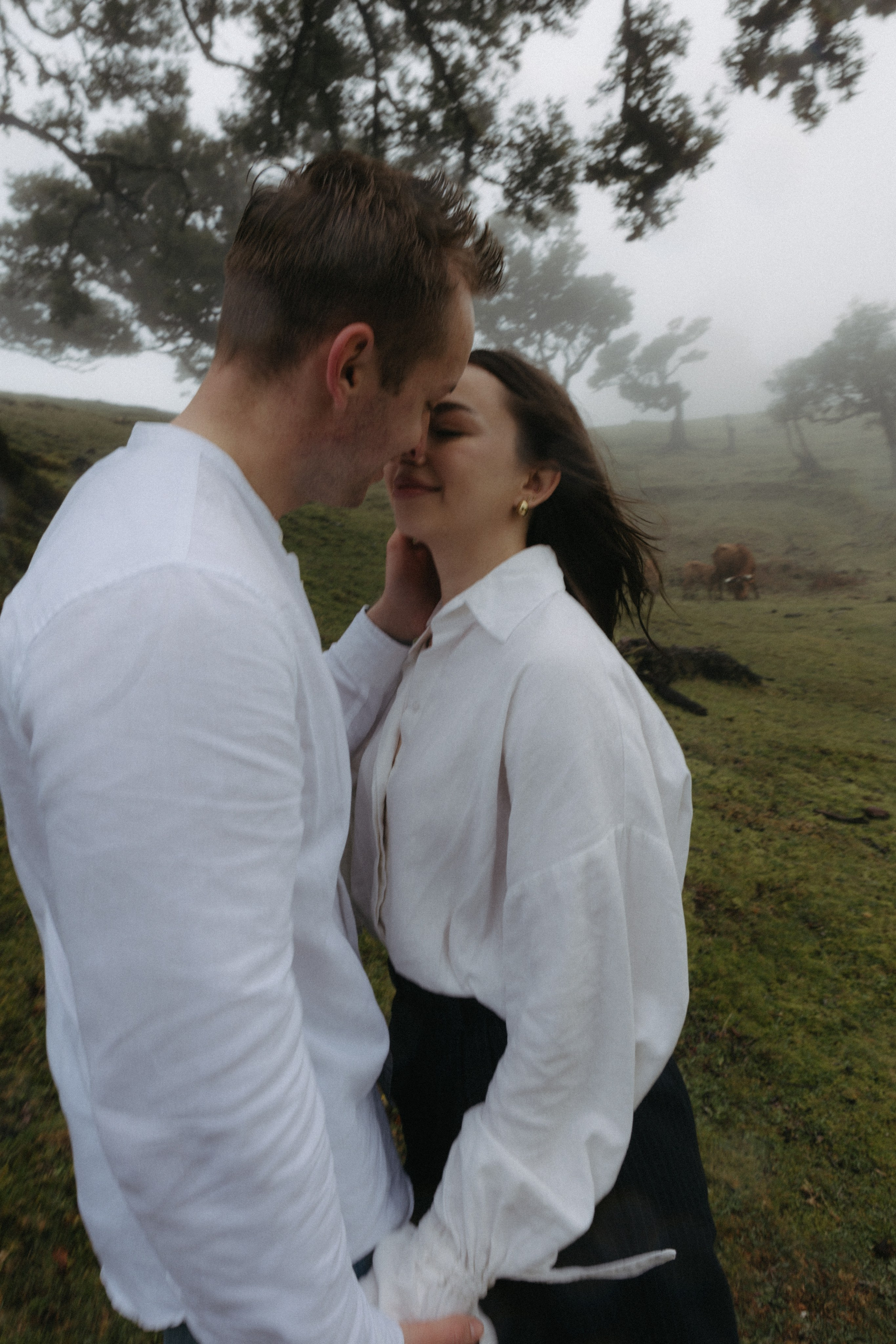 Magic of Fanal Forest. Wedding photographer and videographer based in Timisoara, Romania