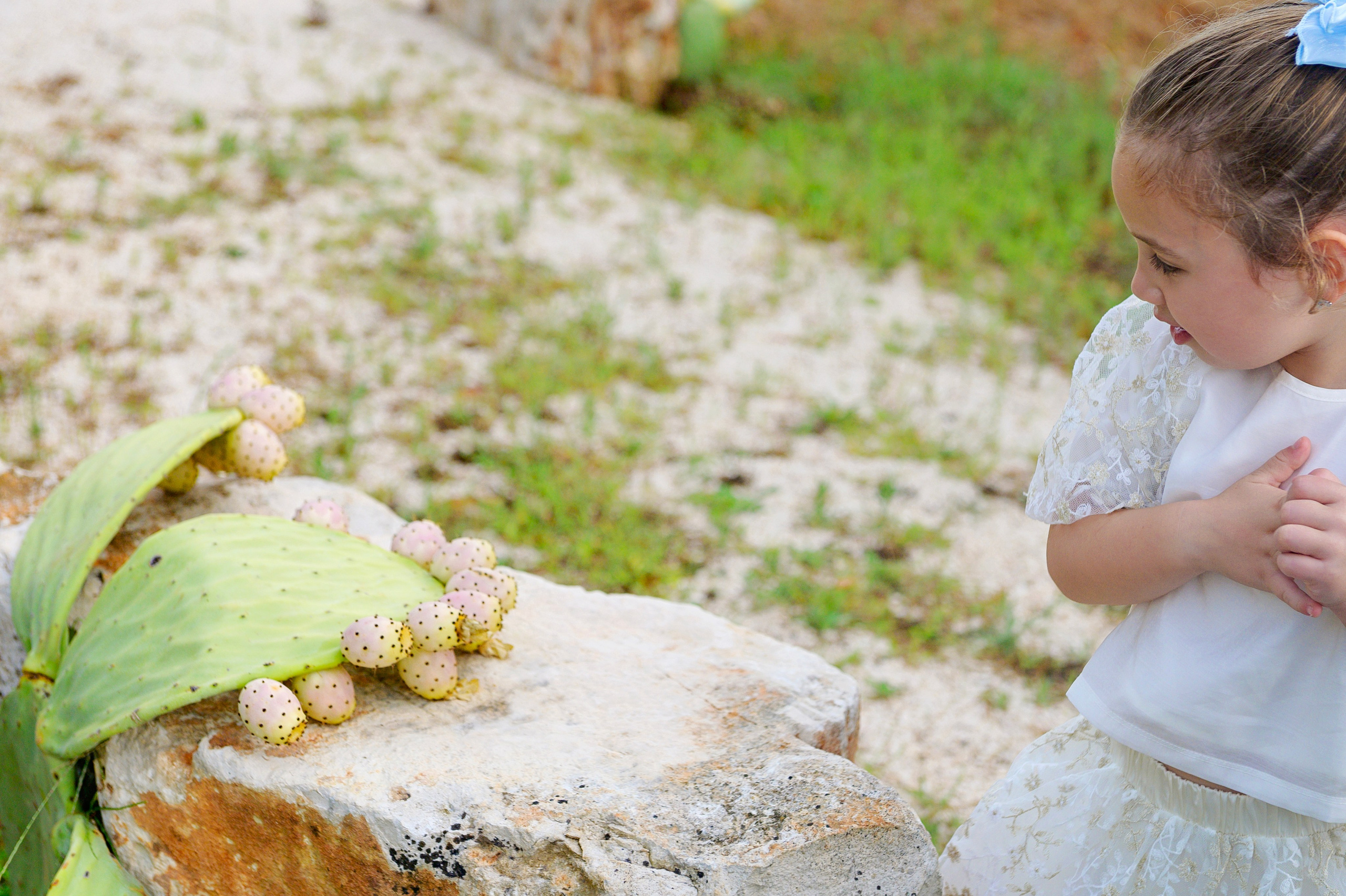 Packages in Puglia — Prices & Inclusions | Fotolexx
