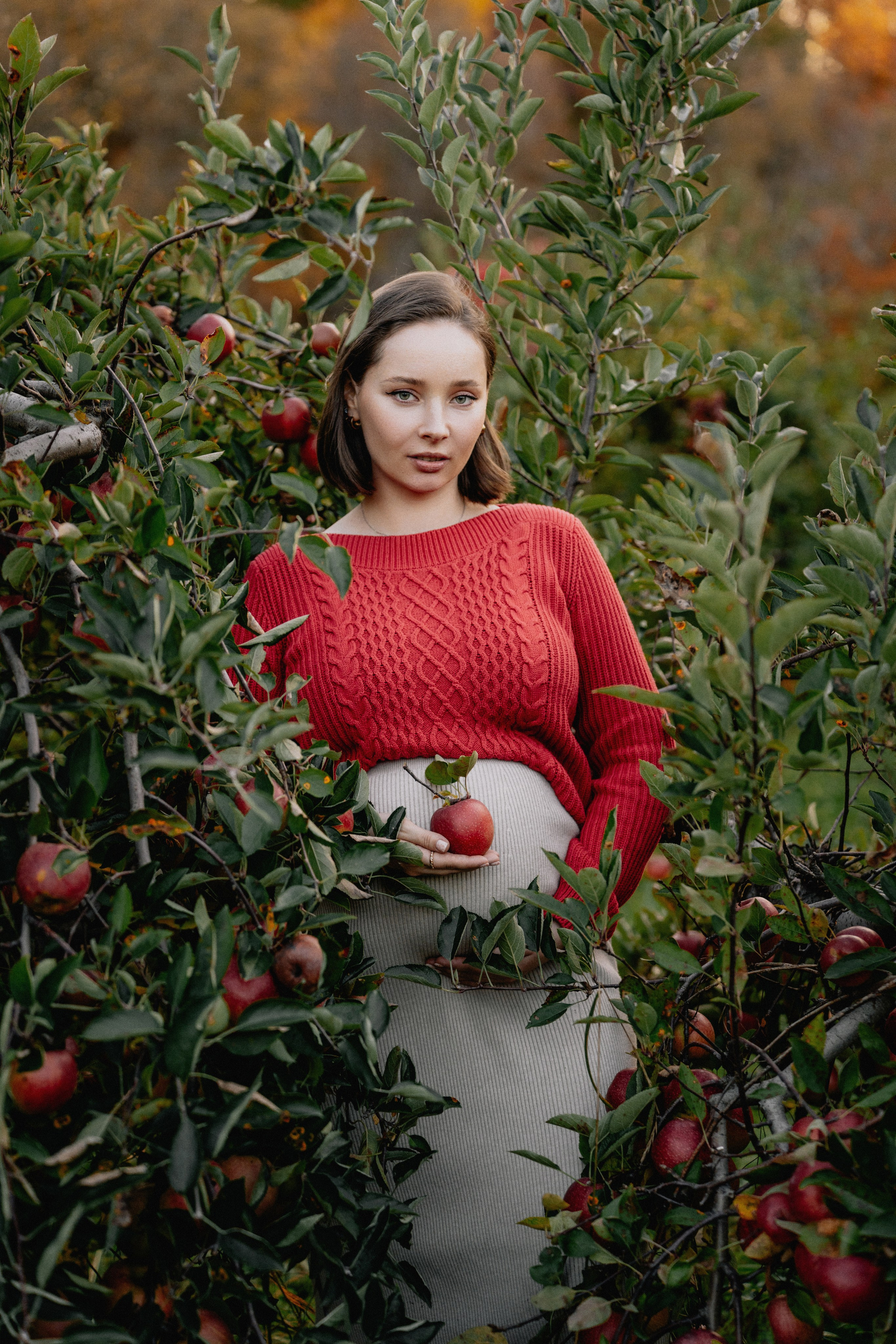 Fall Maternity Photography – Golden Autumn & Apple Orchard Magic. Alisa Tant — Family and newborn photographer Bucks County, Montgomery county, Philadelphia, NJ