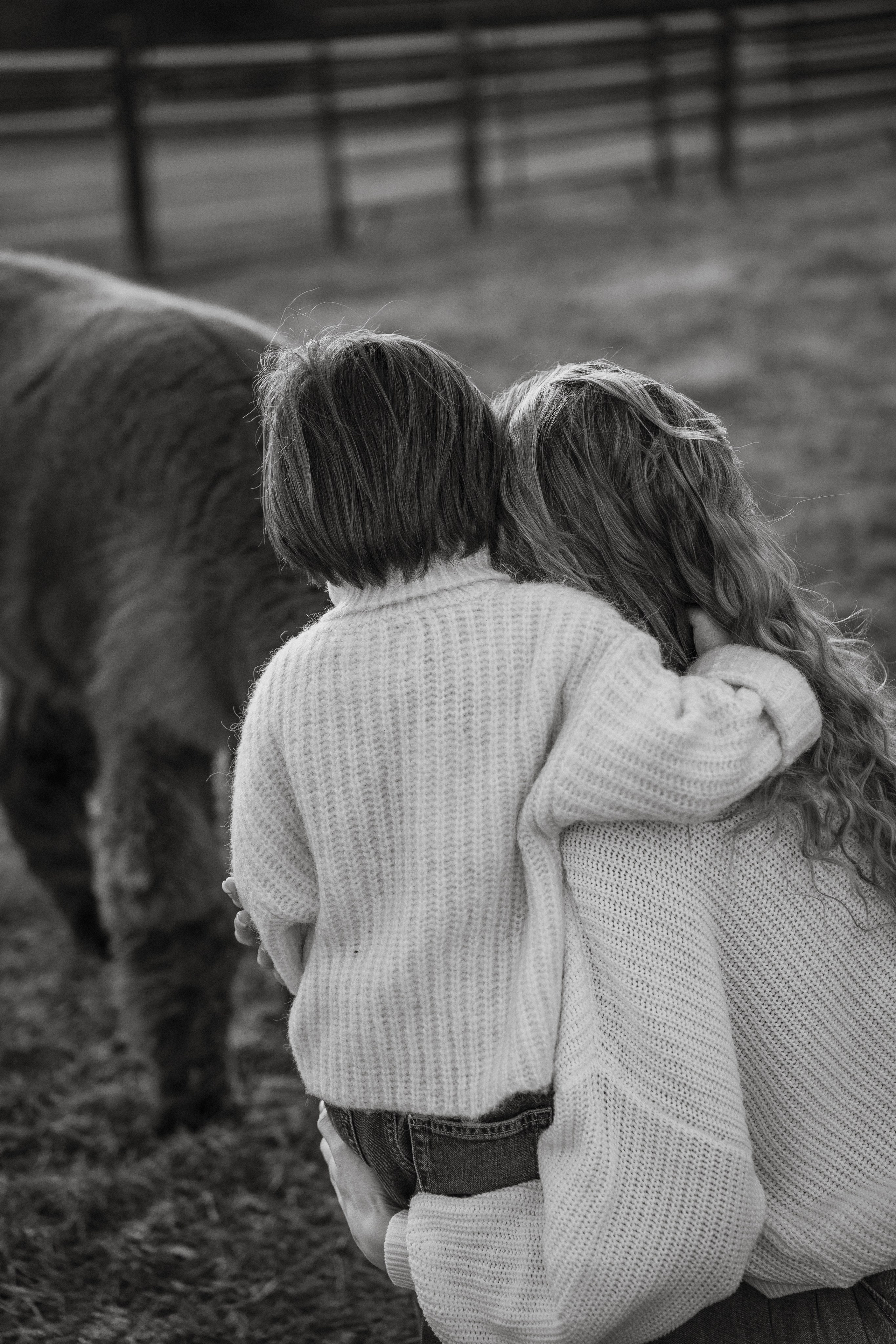Unique Family Photography at an Alpaca Farm – Fun & Playful. Alisa Tant — Family and newborn photographer Bucks County, Montgomery county, Philadelphia, NJ