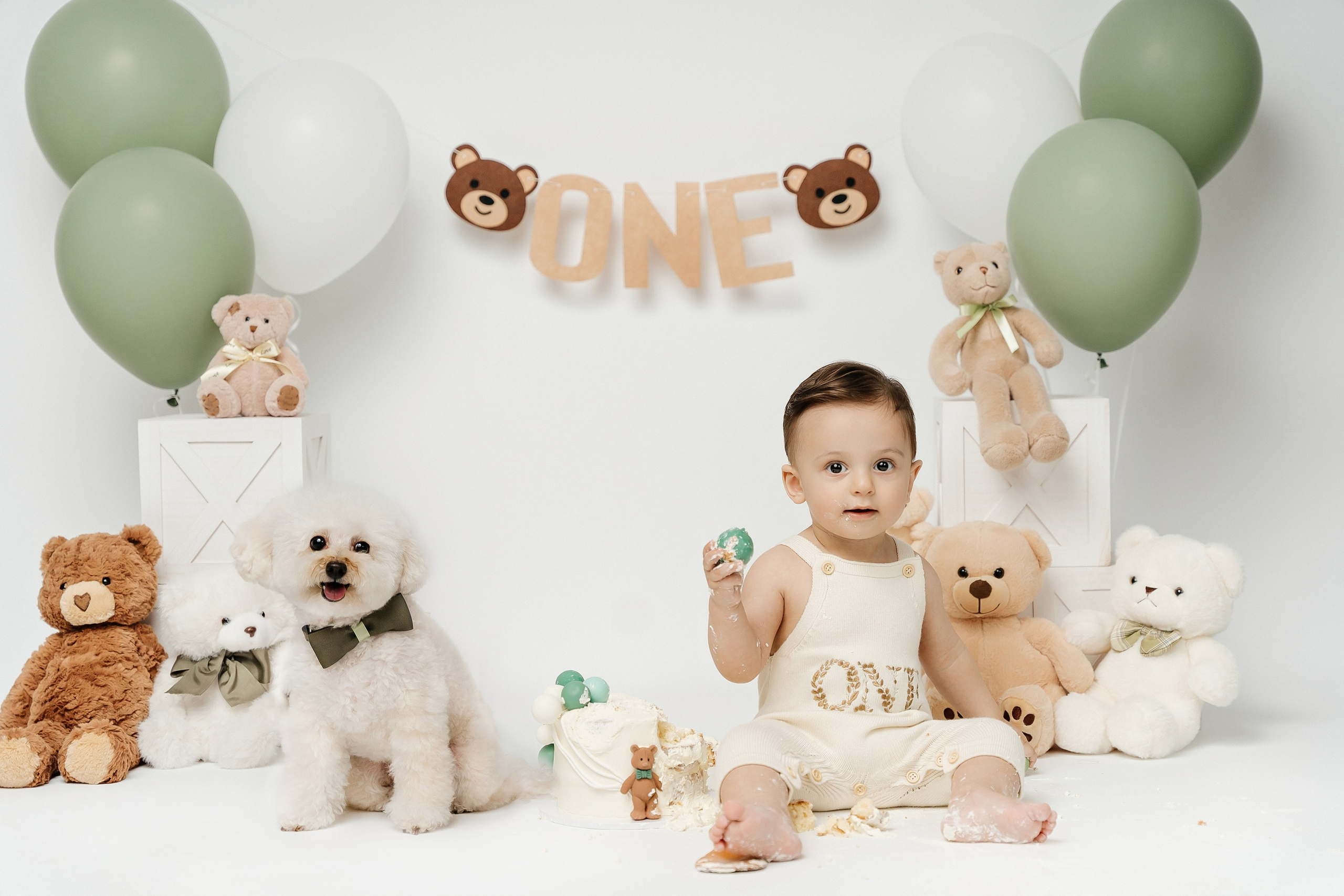 Teddy Bear One Year Cake Smash Photos. Newborn and family photographer. Hills District. Sydney