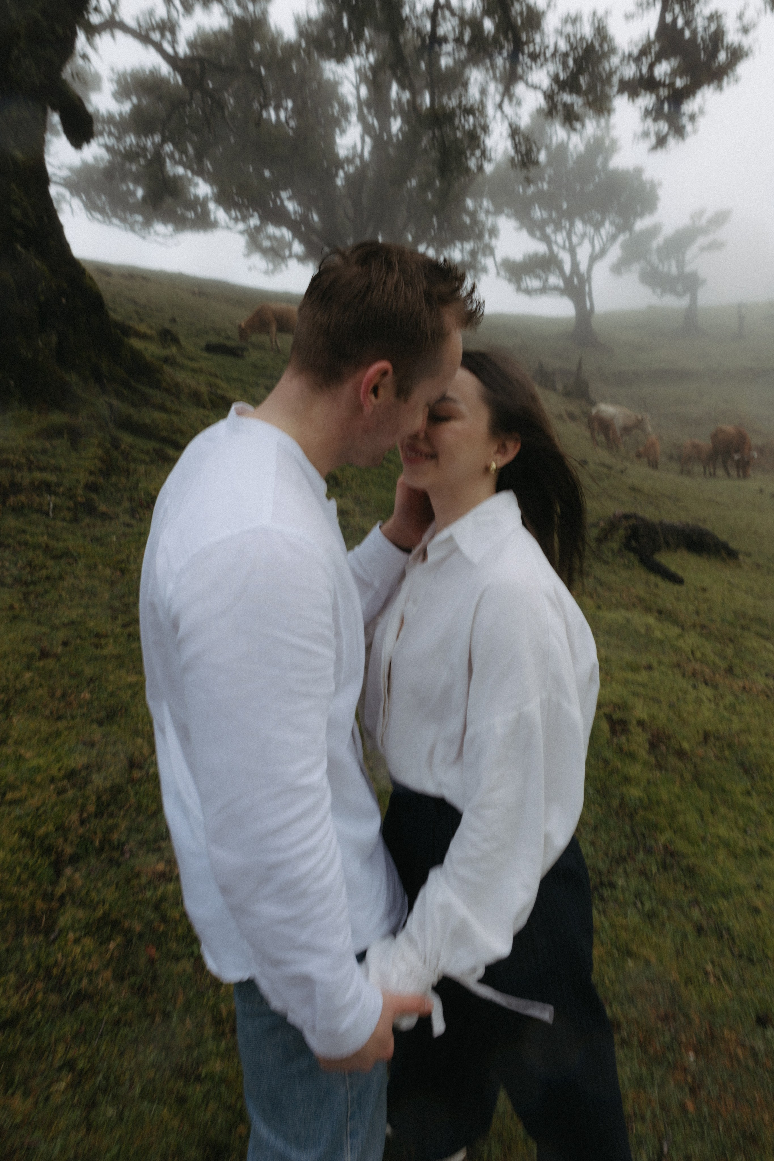 Magic of Fanal Forest. Wedding photographer and videographer based in Timisoara, Romania