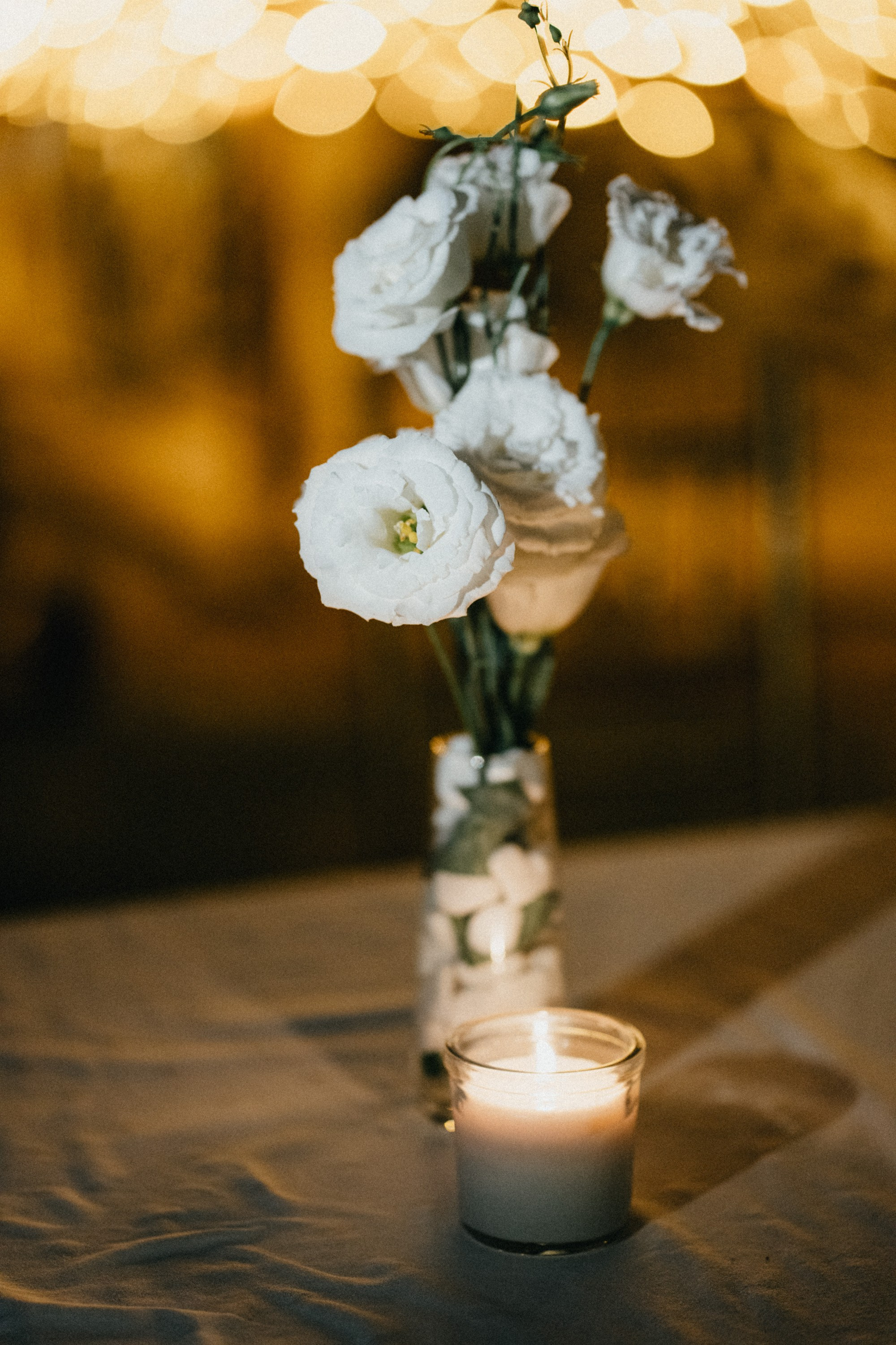 Boban & Sanja. Wedding photography