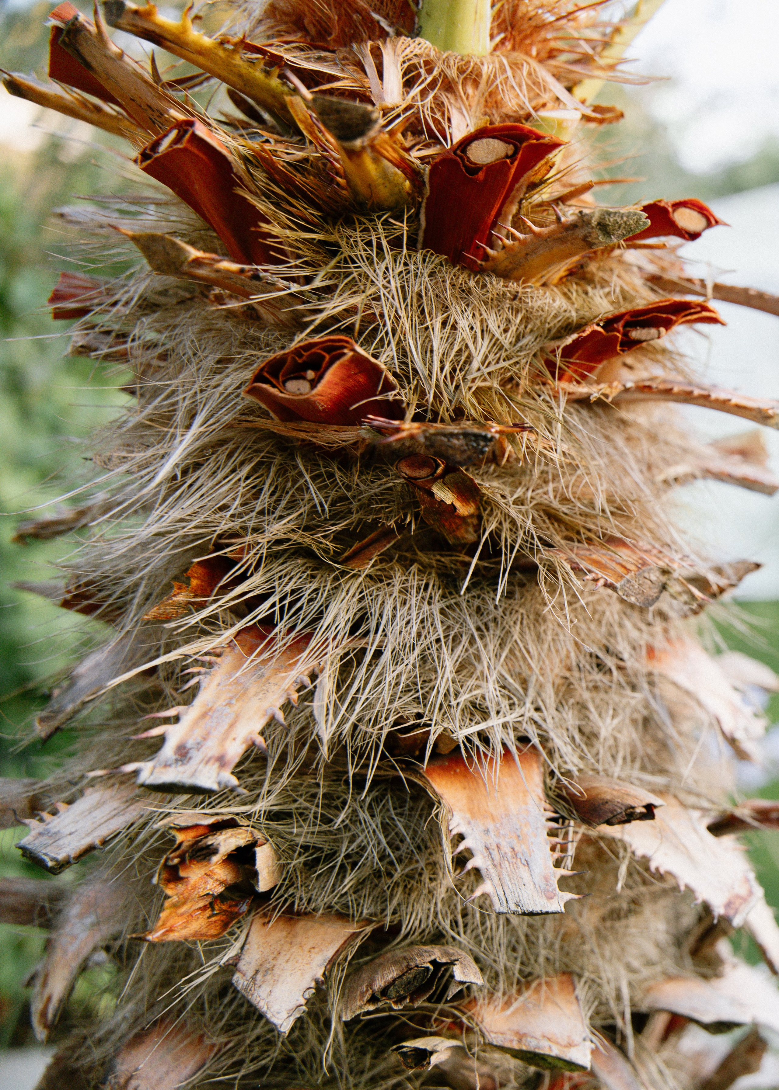 Intimate and emotional wedding. Timeless Wedding & Event Photography from London to the world