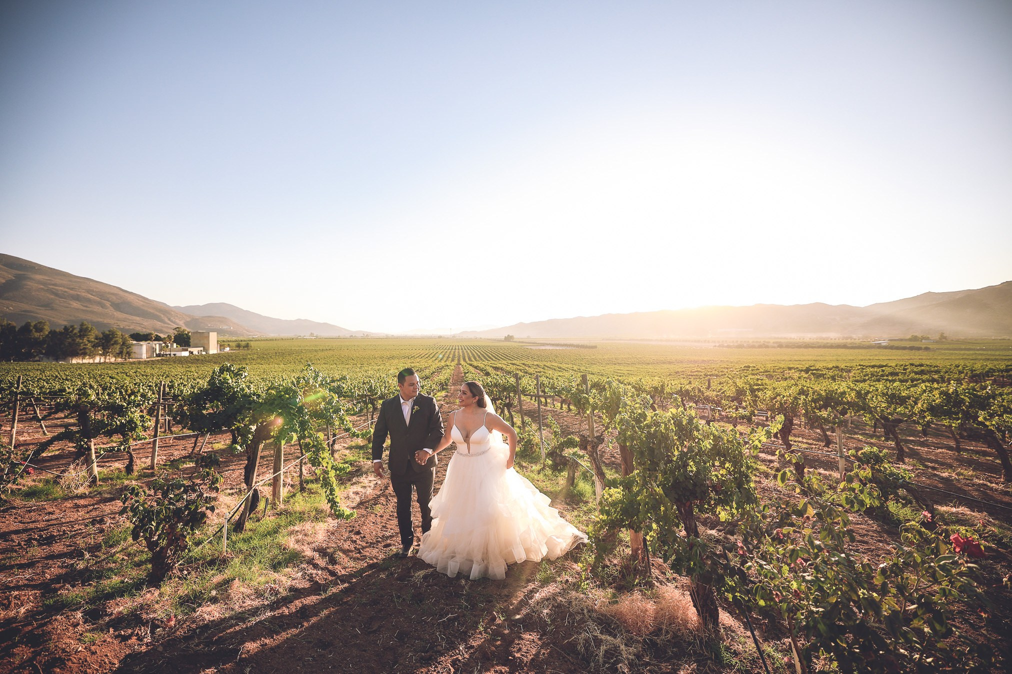 LA Cetto Valle de Guadalupe Boda Araceli e Israel. Estudio de fotografia en Tijuana